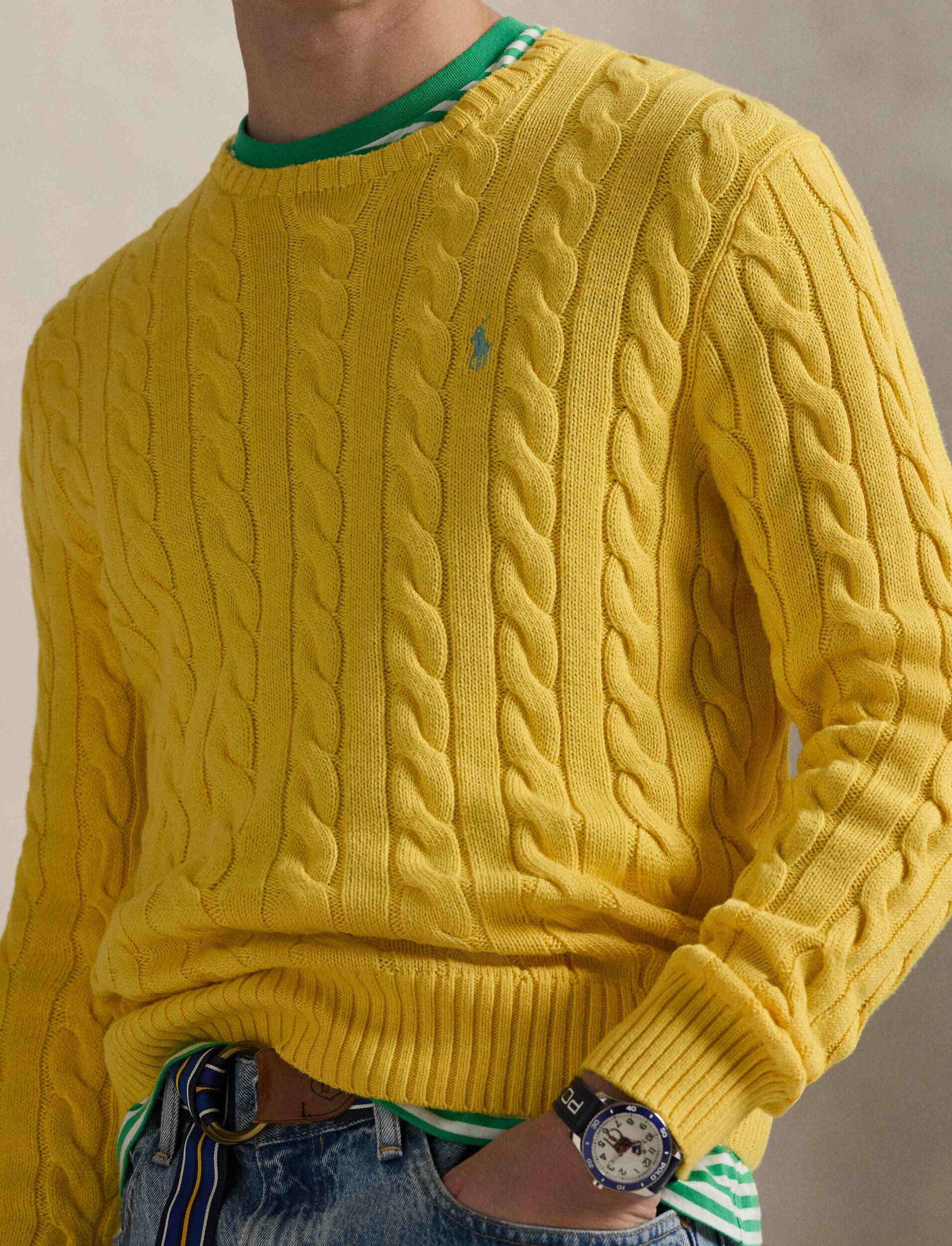 Polo Ralph Lauren Pulover | regular fit