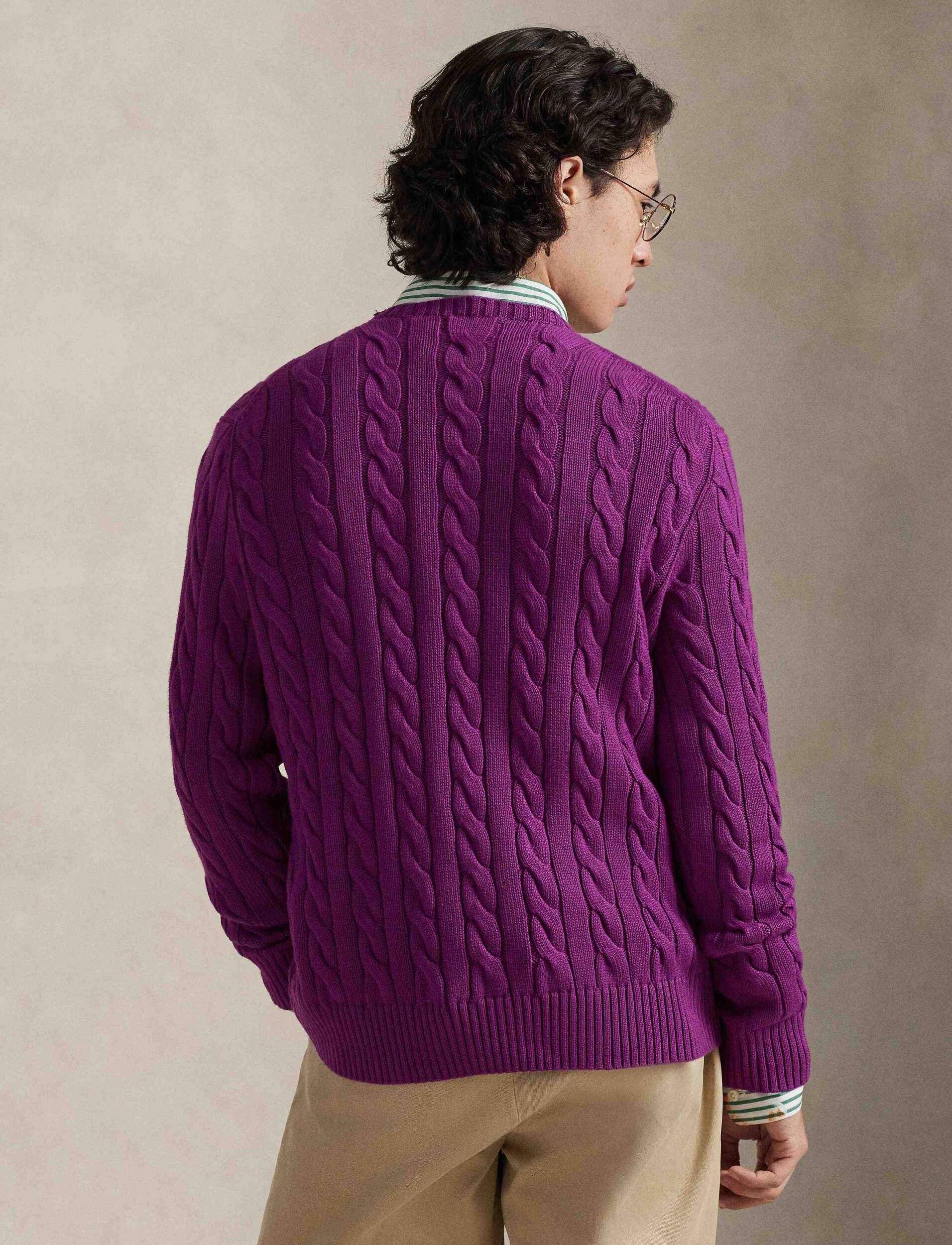 Polo Ralph Lauren Pulover | regular fit