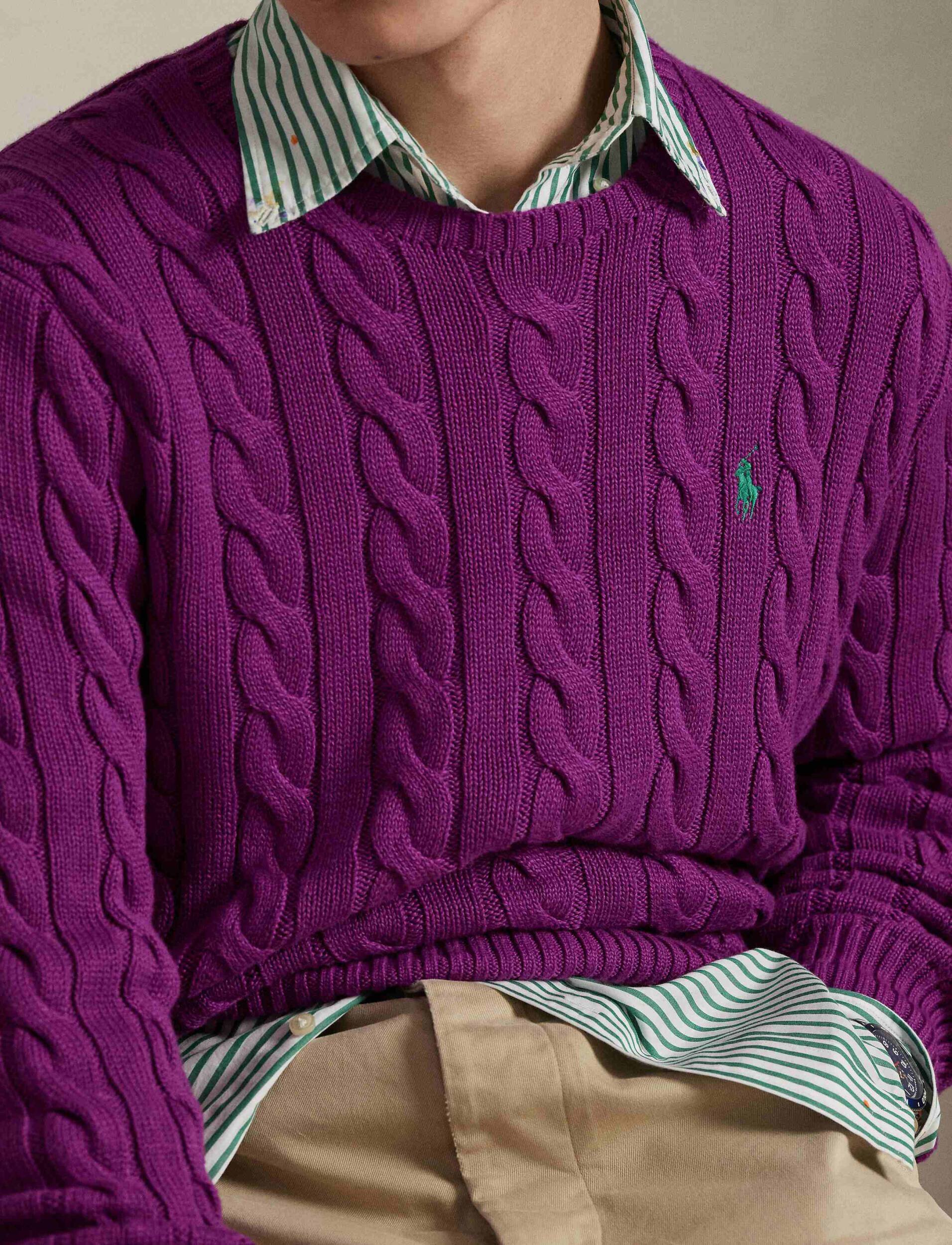 Polo Ralph Lauren Pulover | regular fit