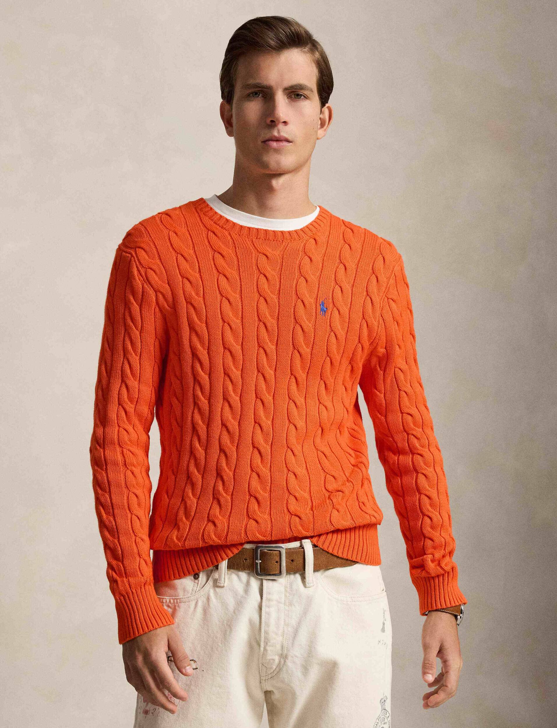 Polo Ralph Lauren Pulover | regular fit
