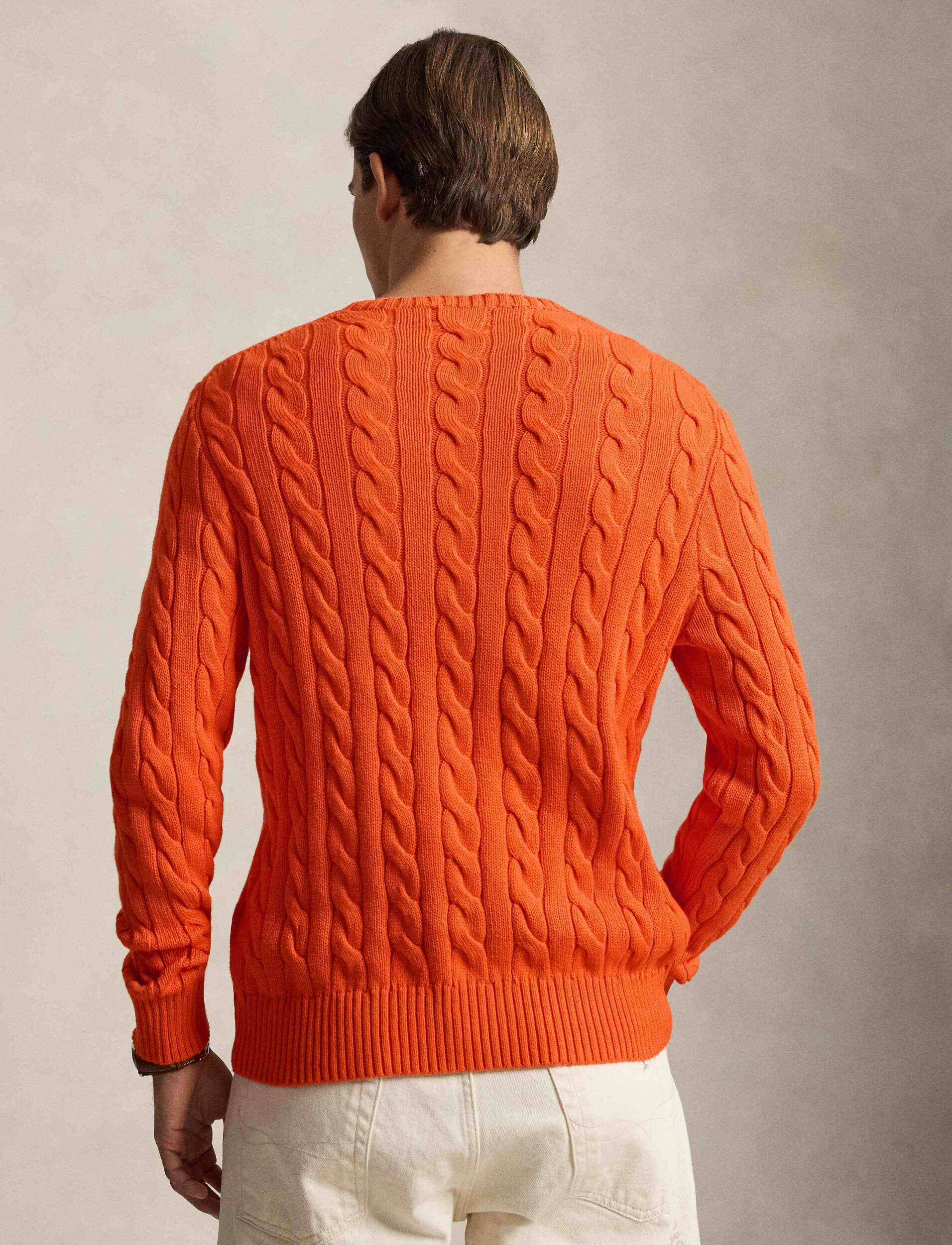 Polo Ralph Lauren Pulover | regular fit