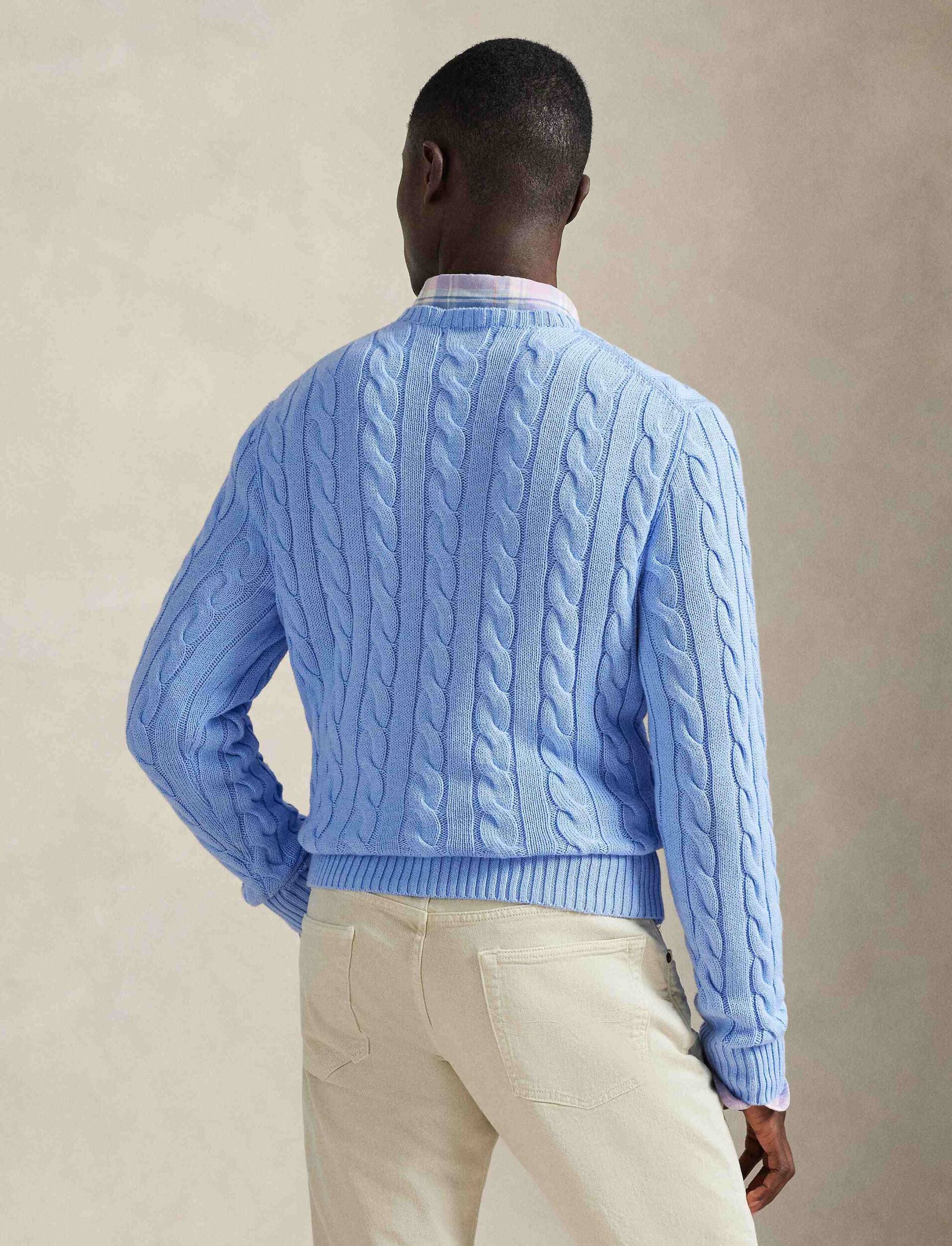 Polo Ralph Lauren Pulover | regular fit