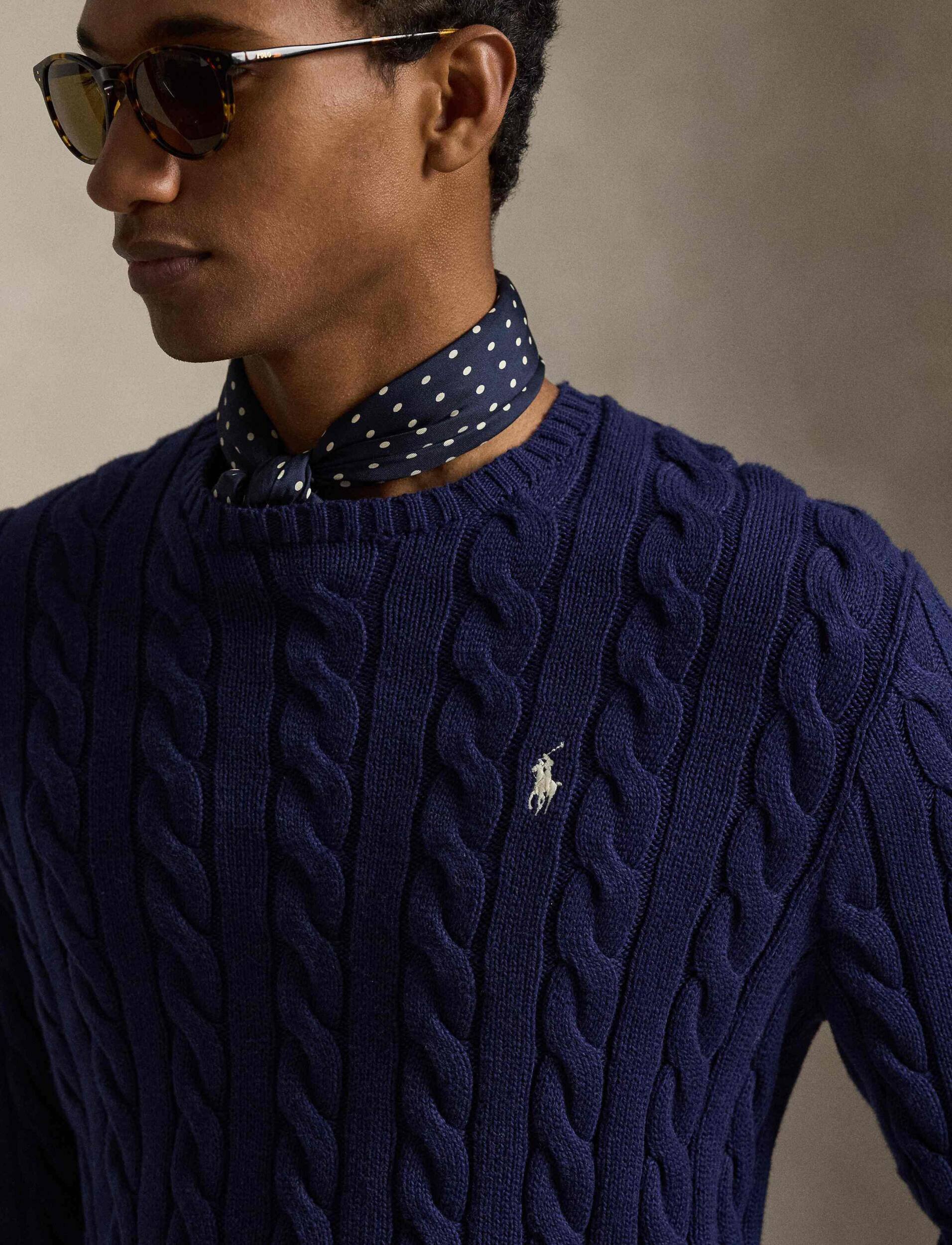 Polo Ralph Lauren Pulover | regular fit