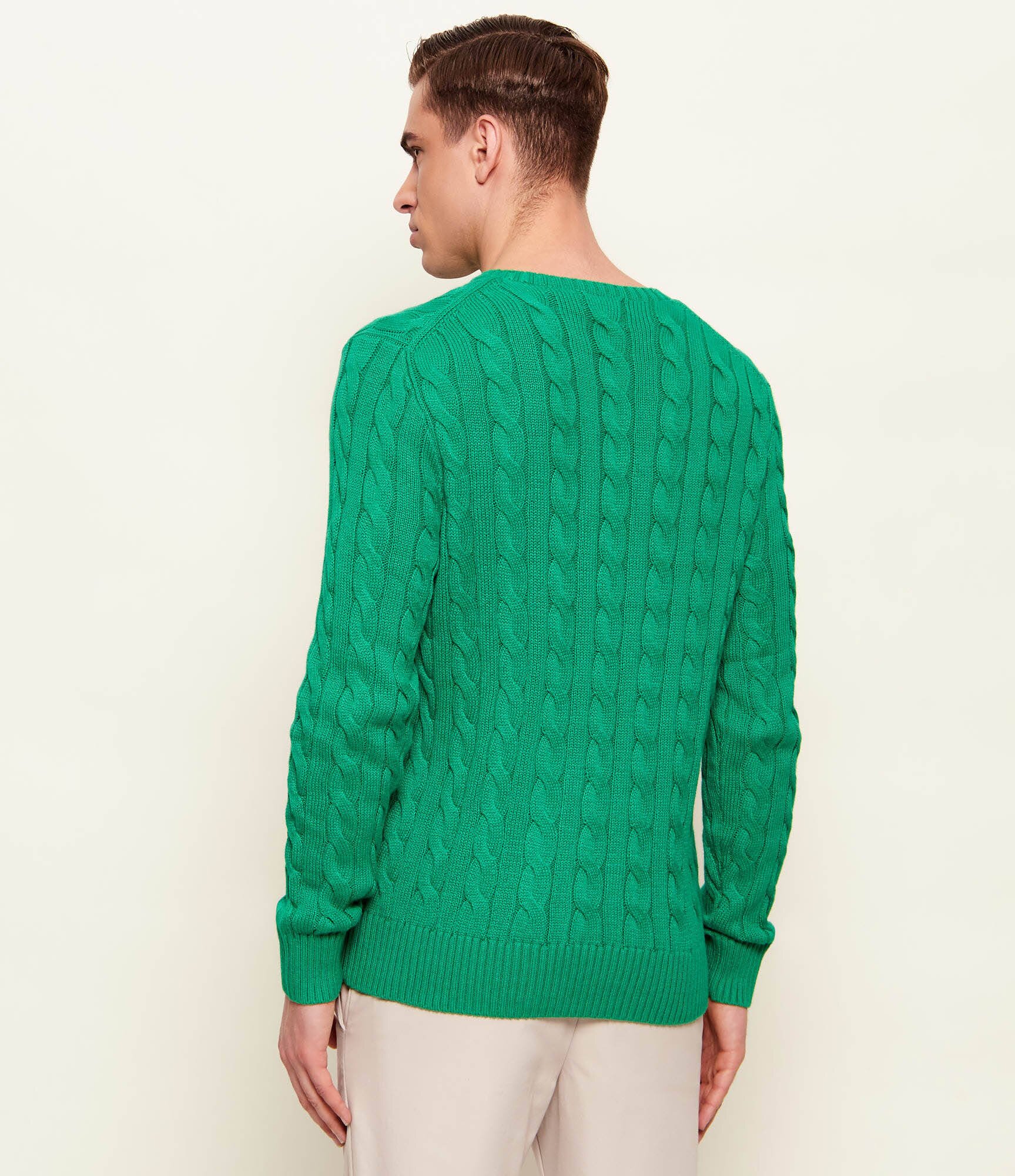 Polo Ralph Lauren Pulover | regular fit