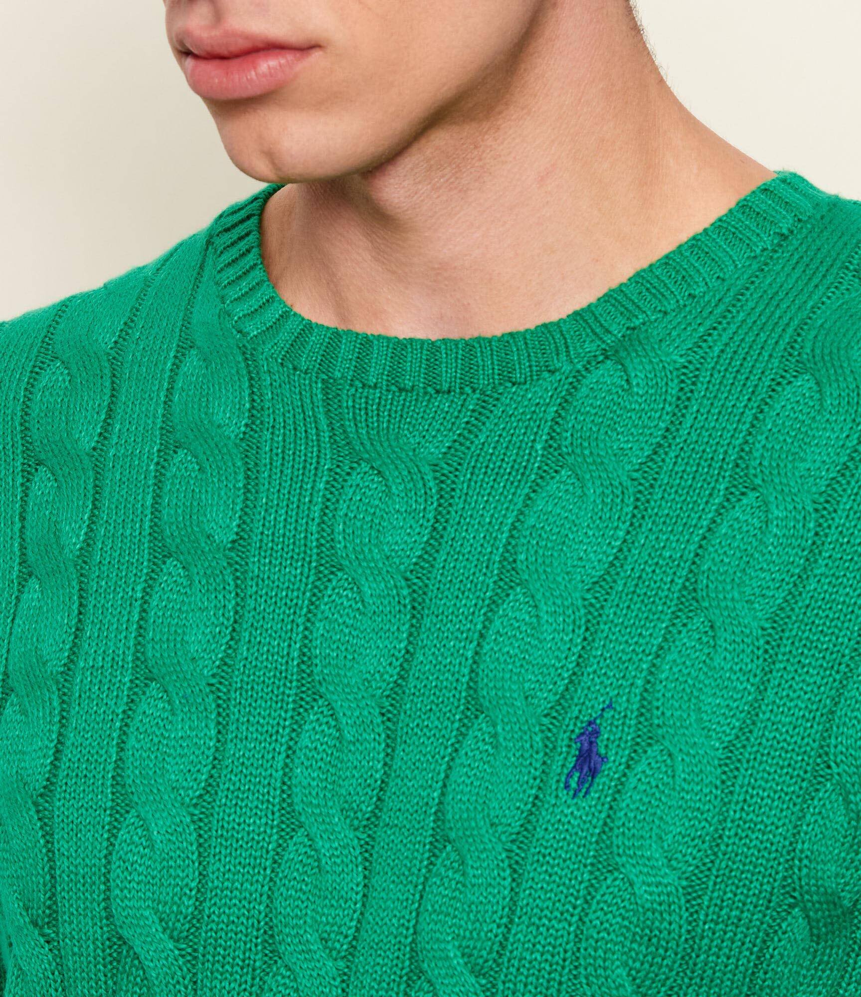 Polo Ralph Lauren Pulover | regular fit