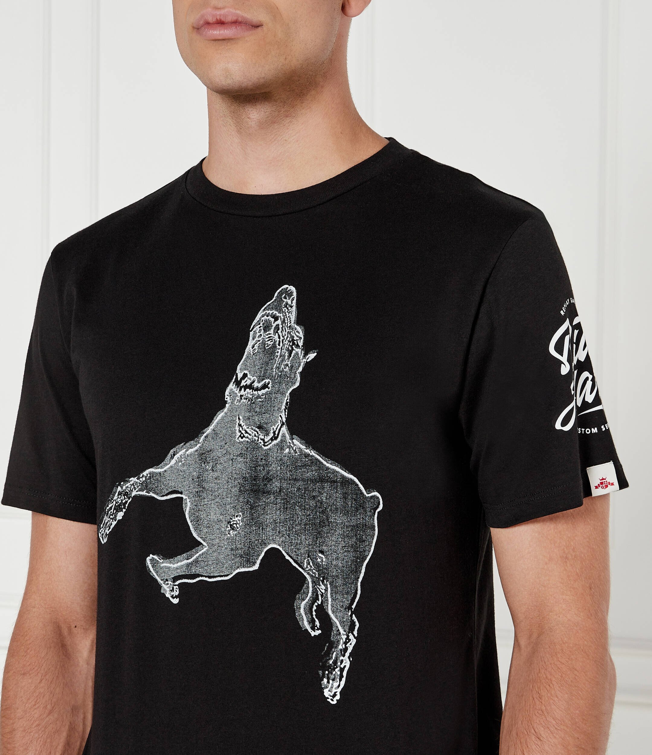 Replay Tricou | regular fit