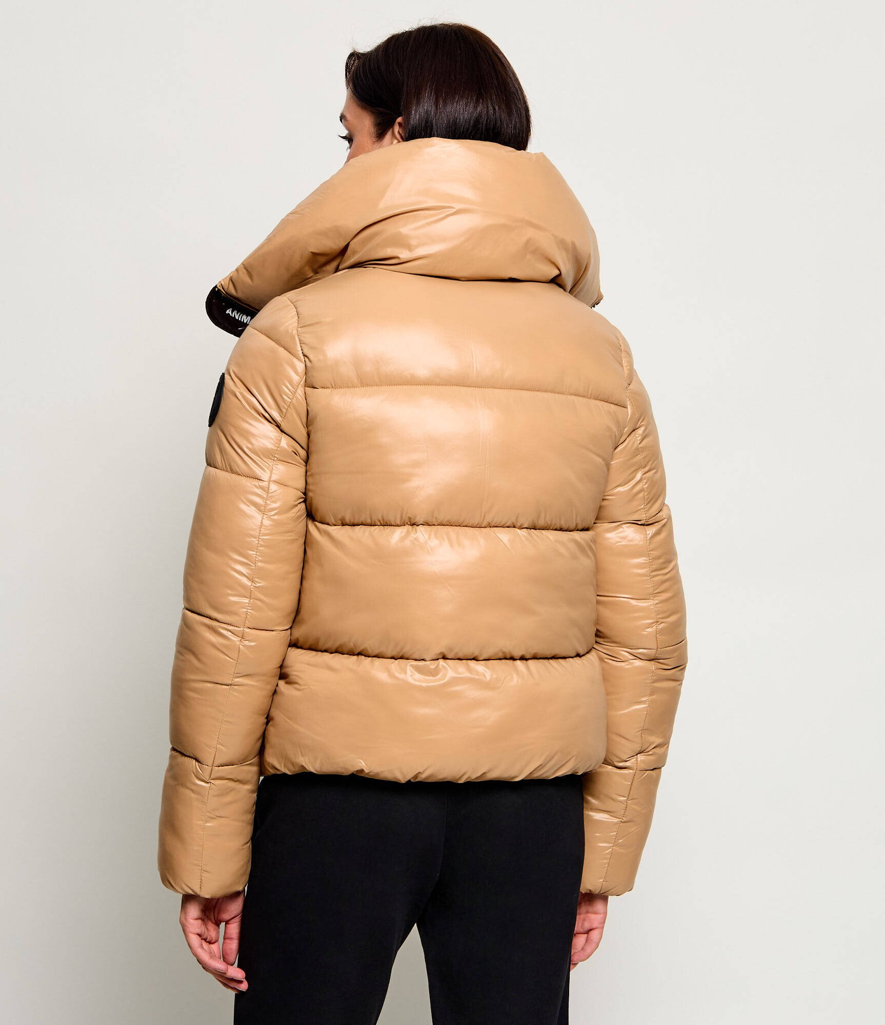 Save The Duck Geacă Isla | regular fit