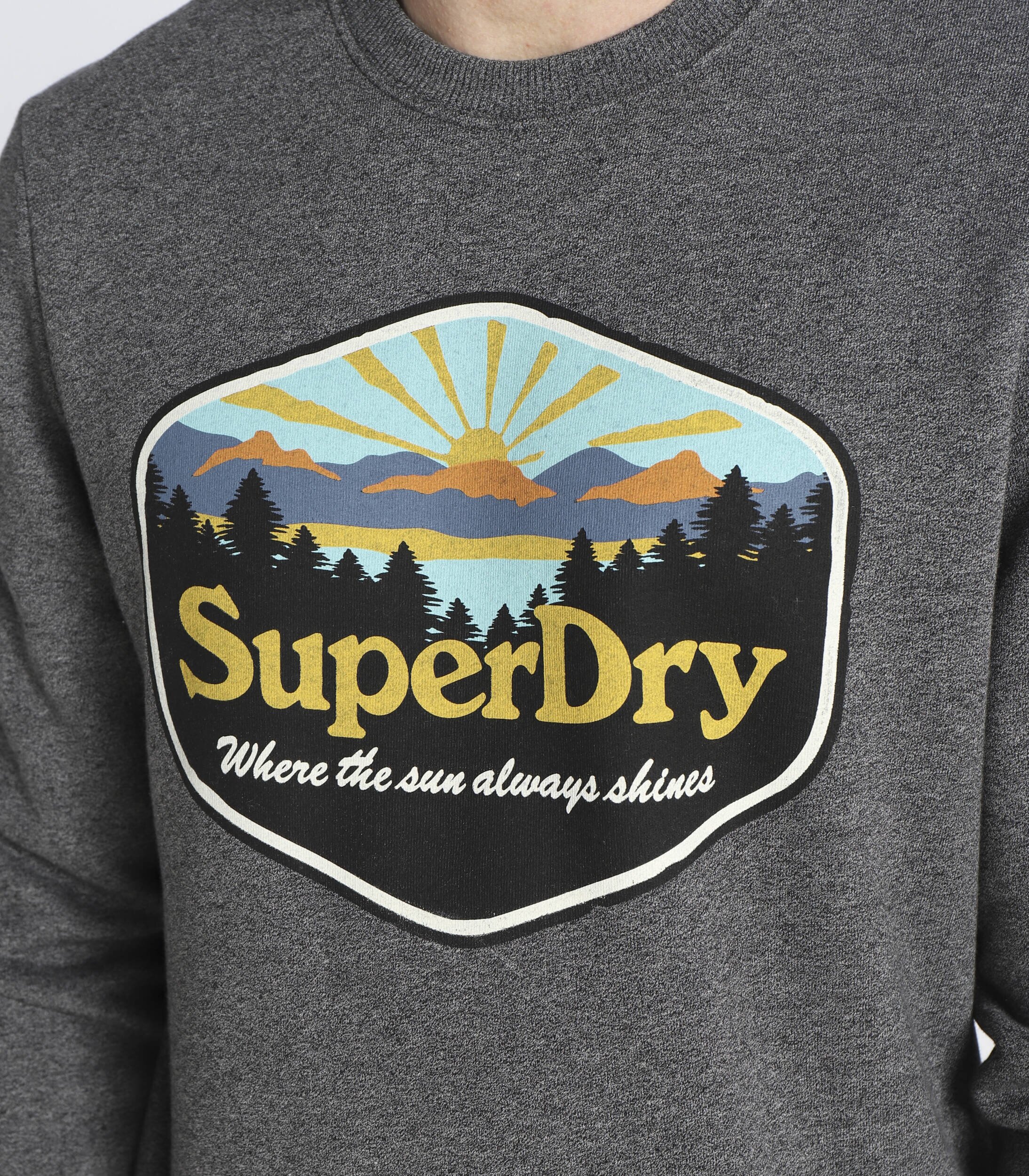 Superdry Hanorac | Regular Fit