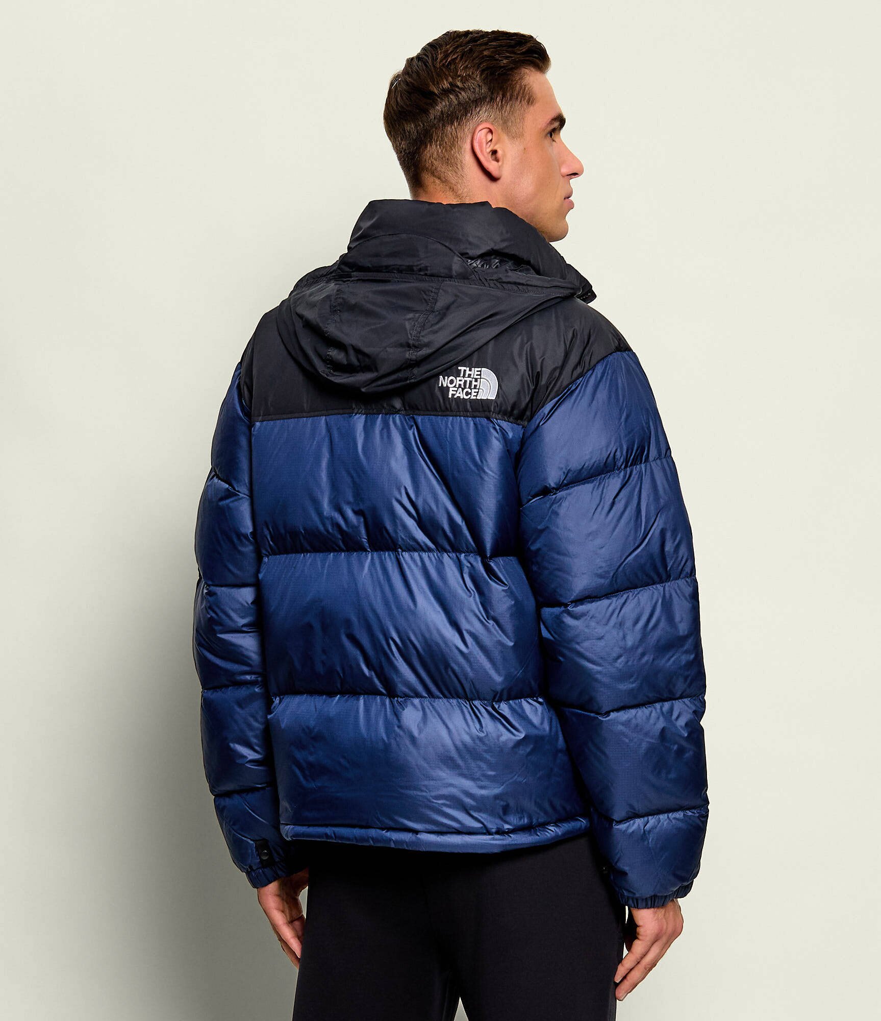 The North Face Geacă de puf 1996 Retro | regular fit
