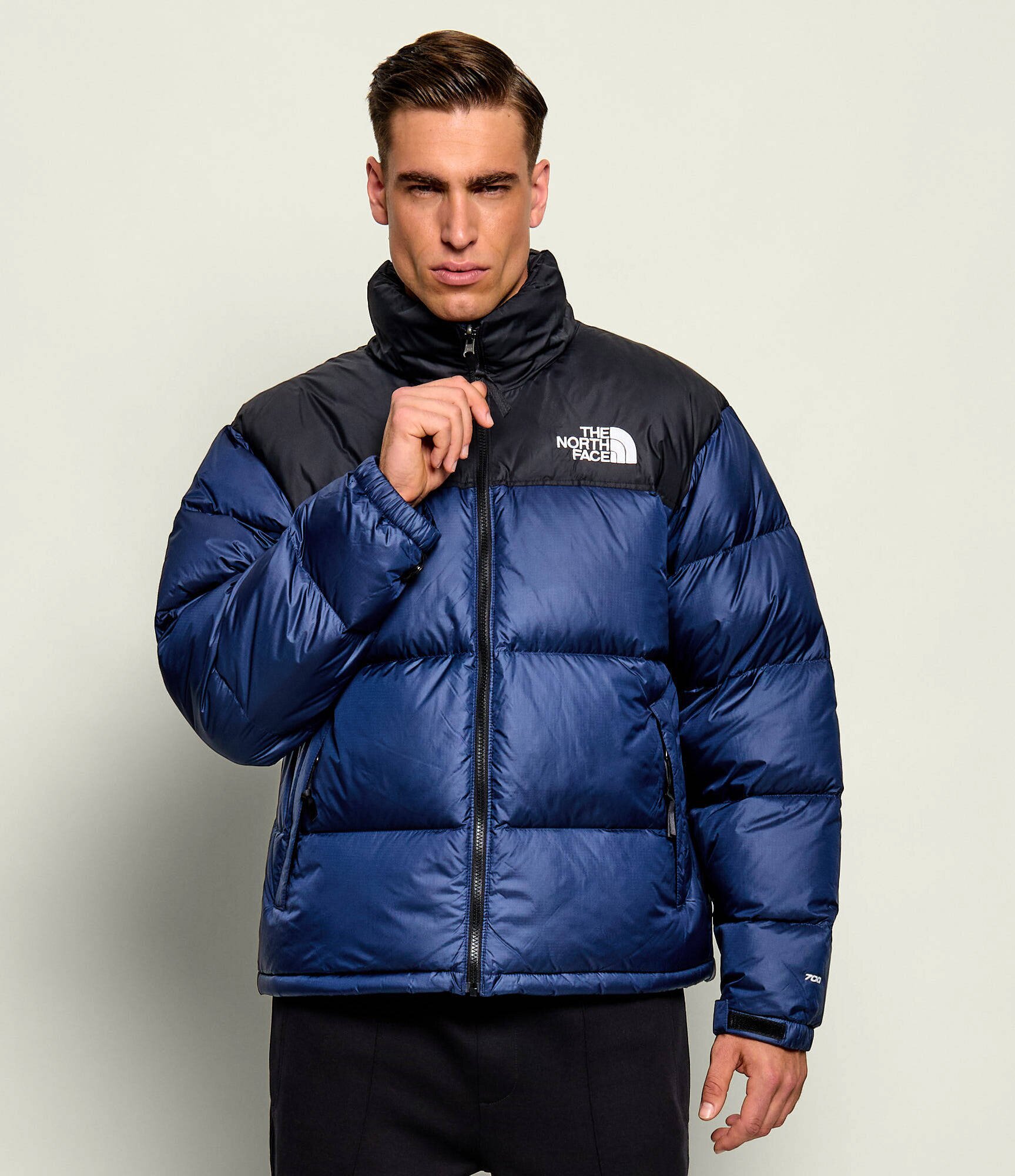 The North Face Geacă de puf 1996 Retro | regular fit