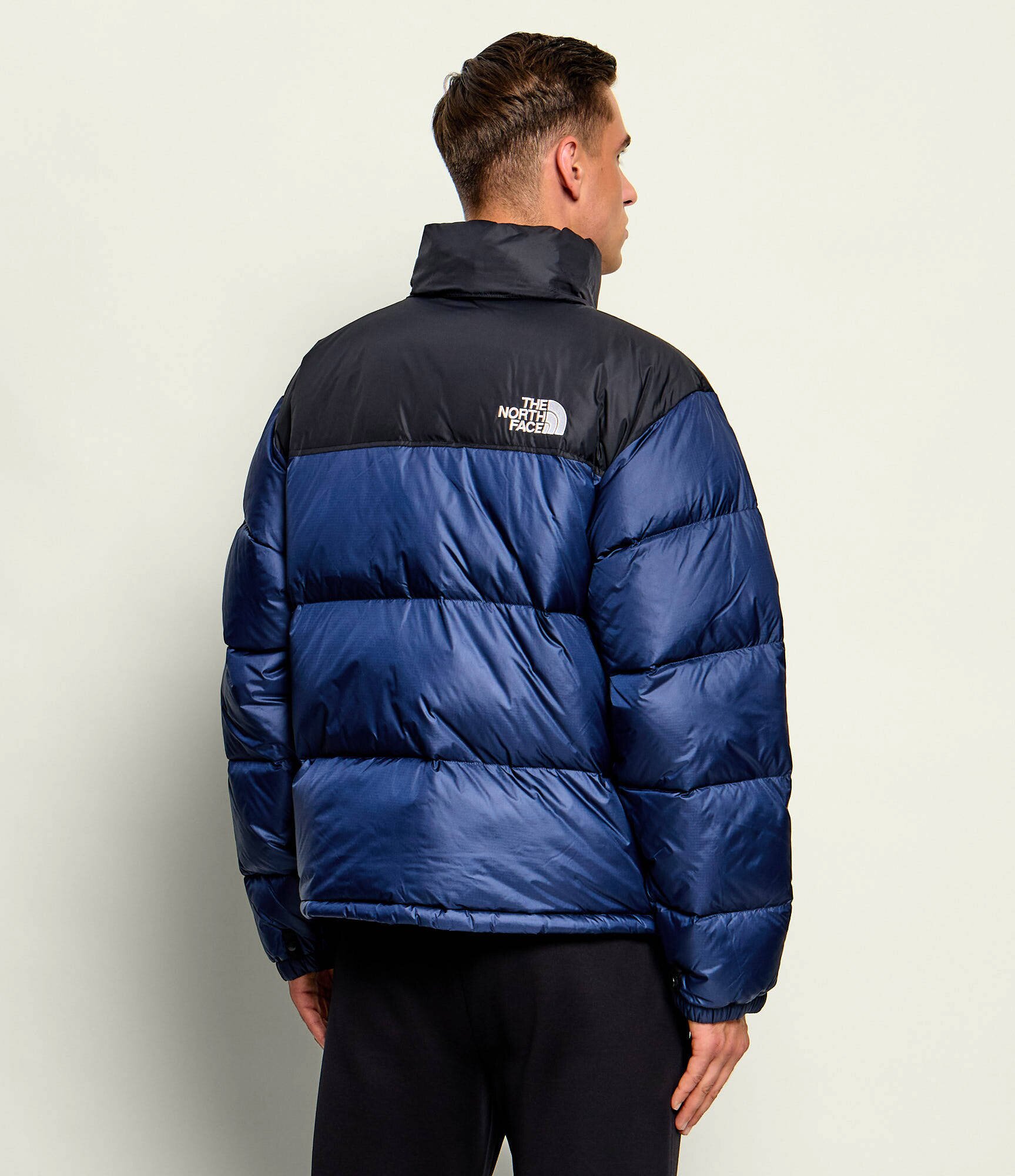 The North Face Geacă de puf 1996 Retro | regular fit