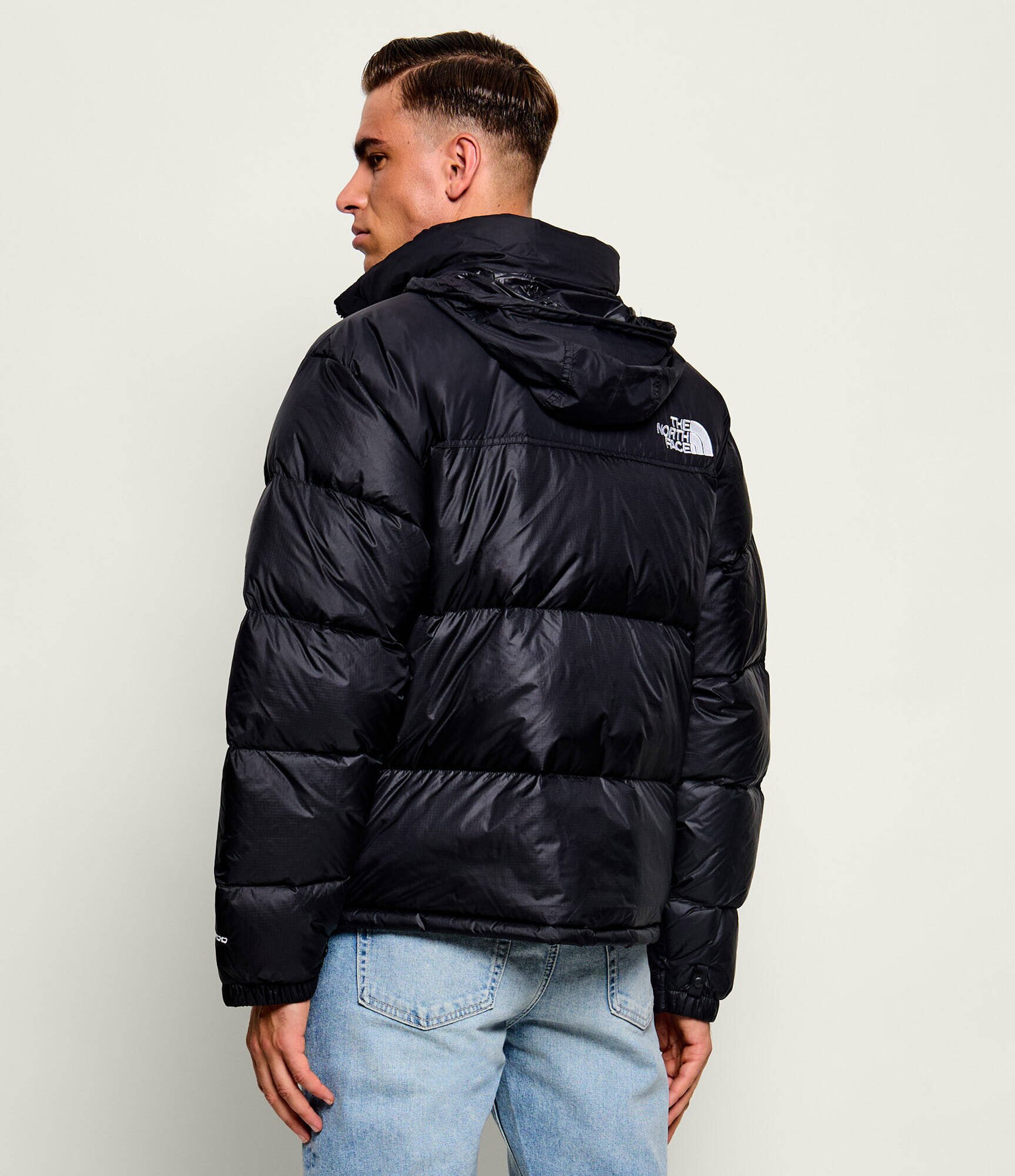 The North Face Geacă de puf 1996 Retro | regular fit