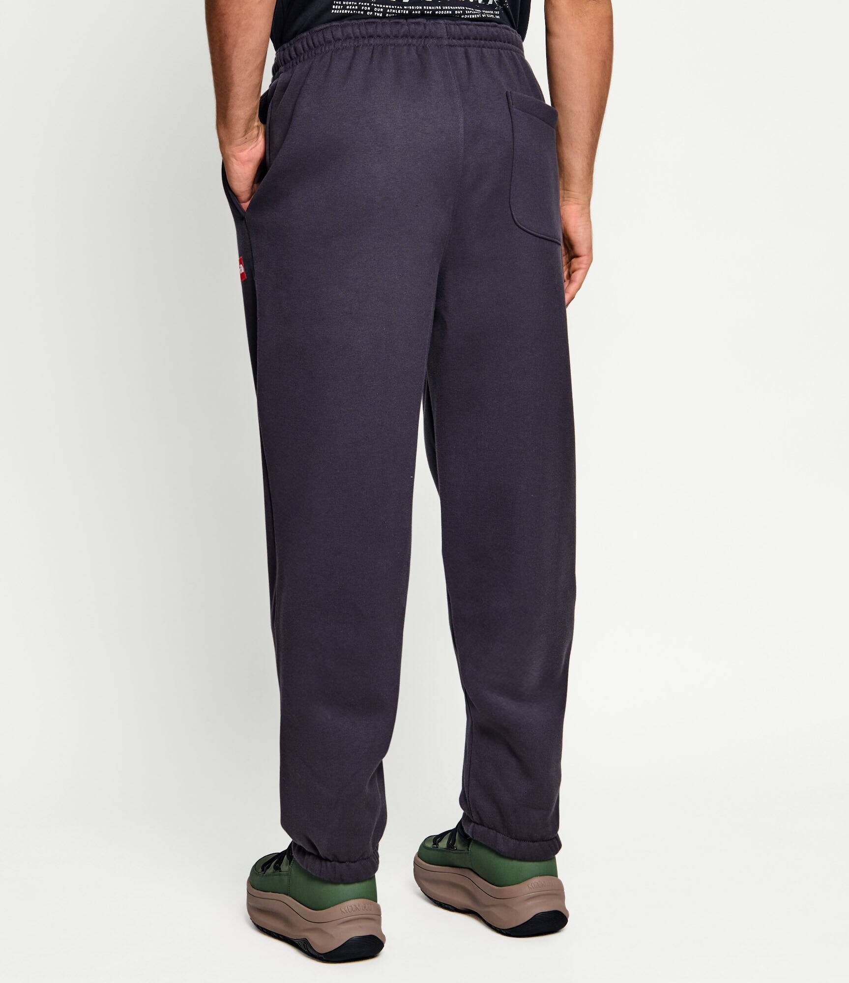 The North Face Pantaloni de trening M TNF | regular fit