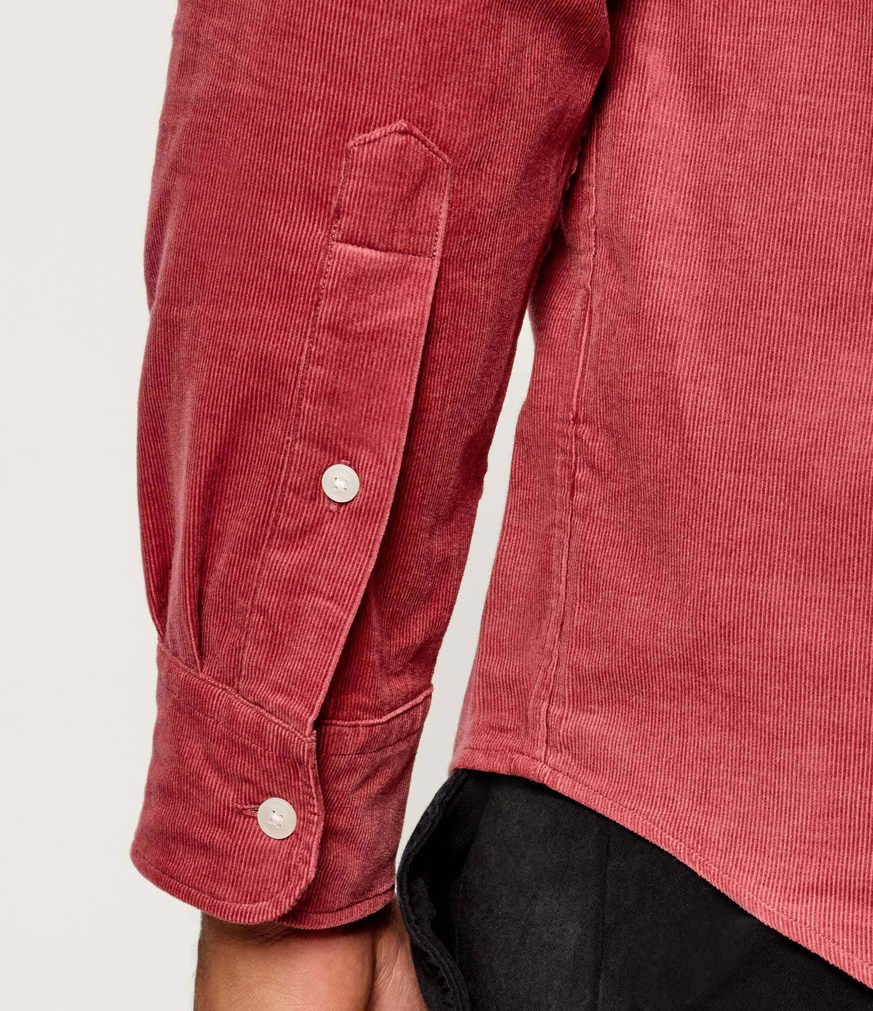 Tommy Hilfiger Cămașă | regular fit | catifea reiată
