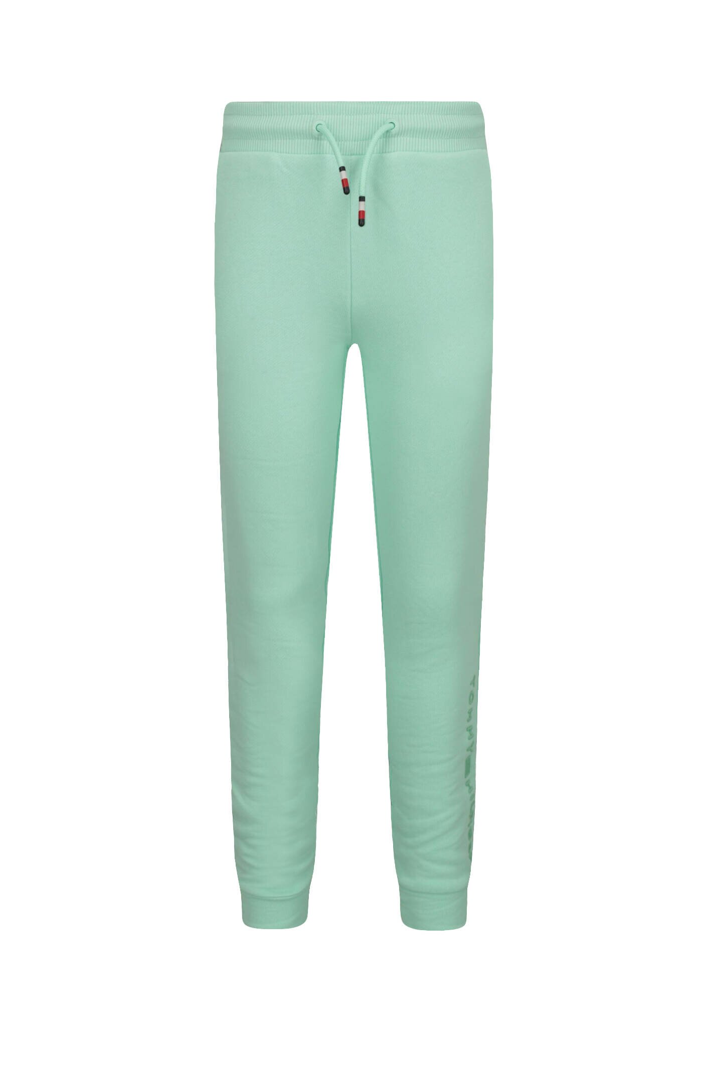 Tommy Hilfiger Pantaloni de trening | Regular Fit