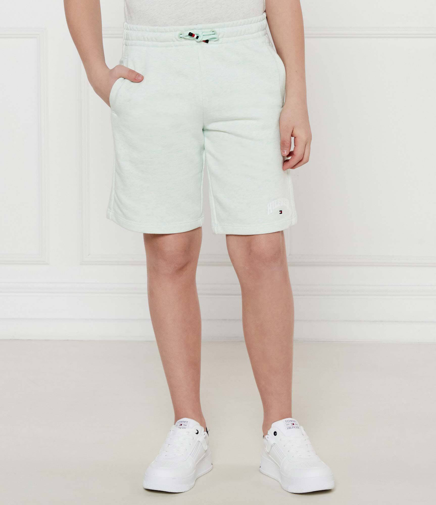Tommy Hilfiger Pantaloni scurți | Regular Fit