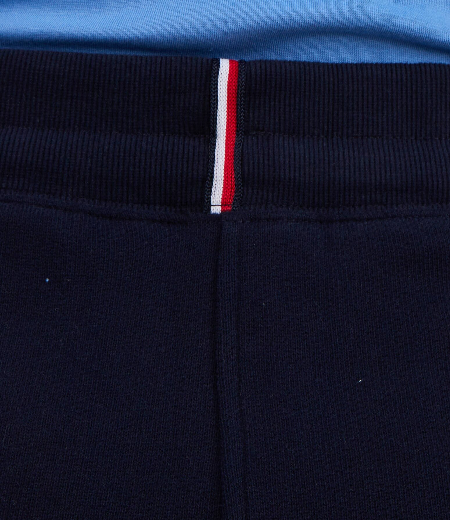 Tommy Hilfiger Pantaloni scurți | Regular Fit