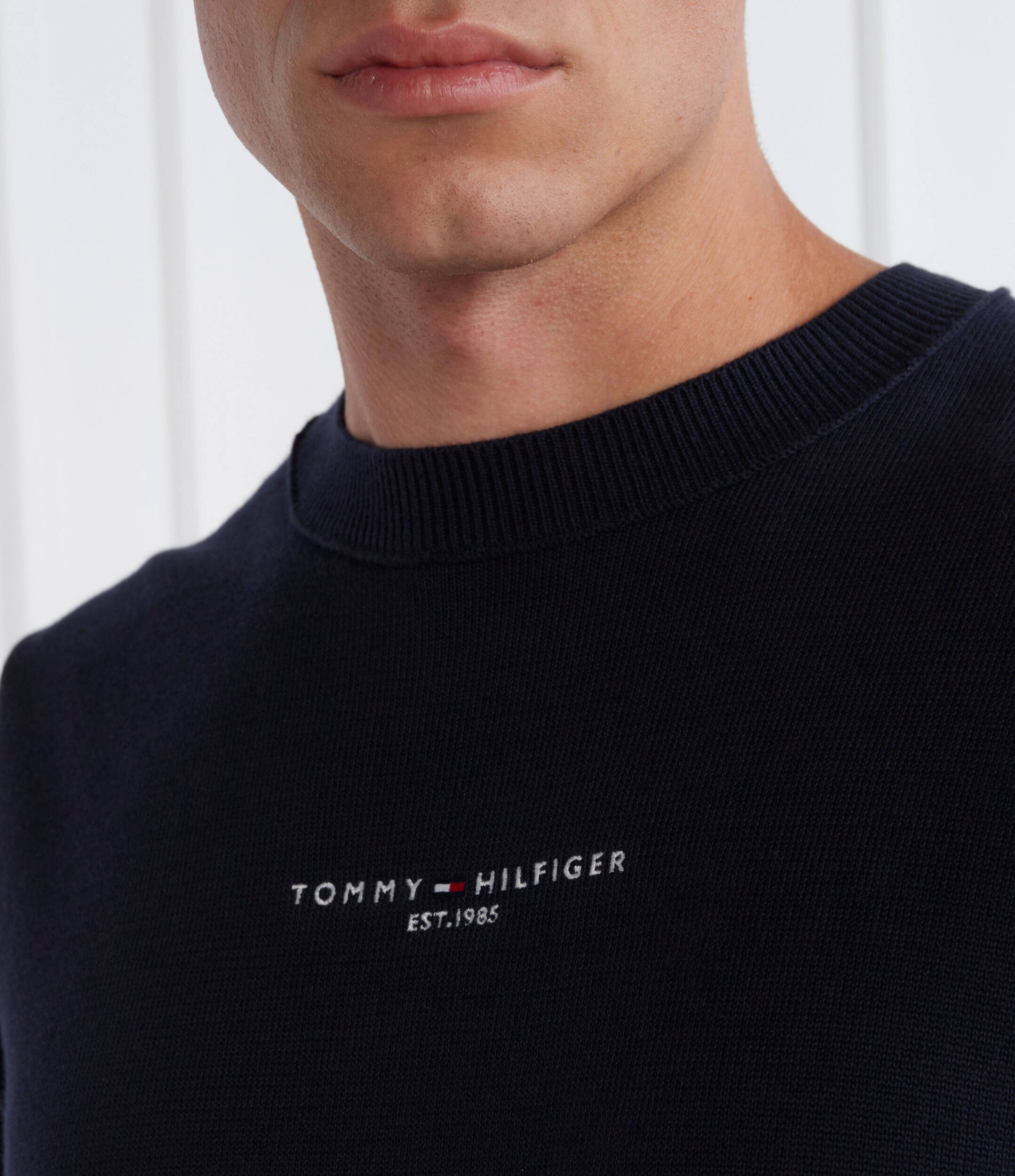 Tommy Hilfiger Pulover | Regular Fit