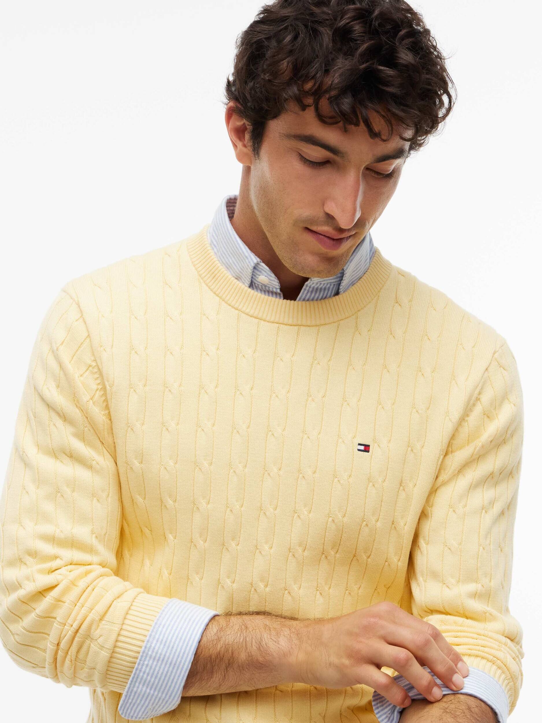 Tommy Hilfiger Pulover | regular fit