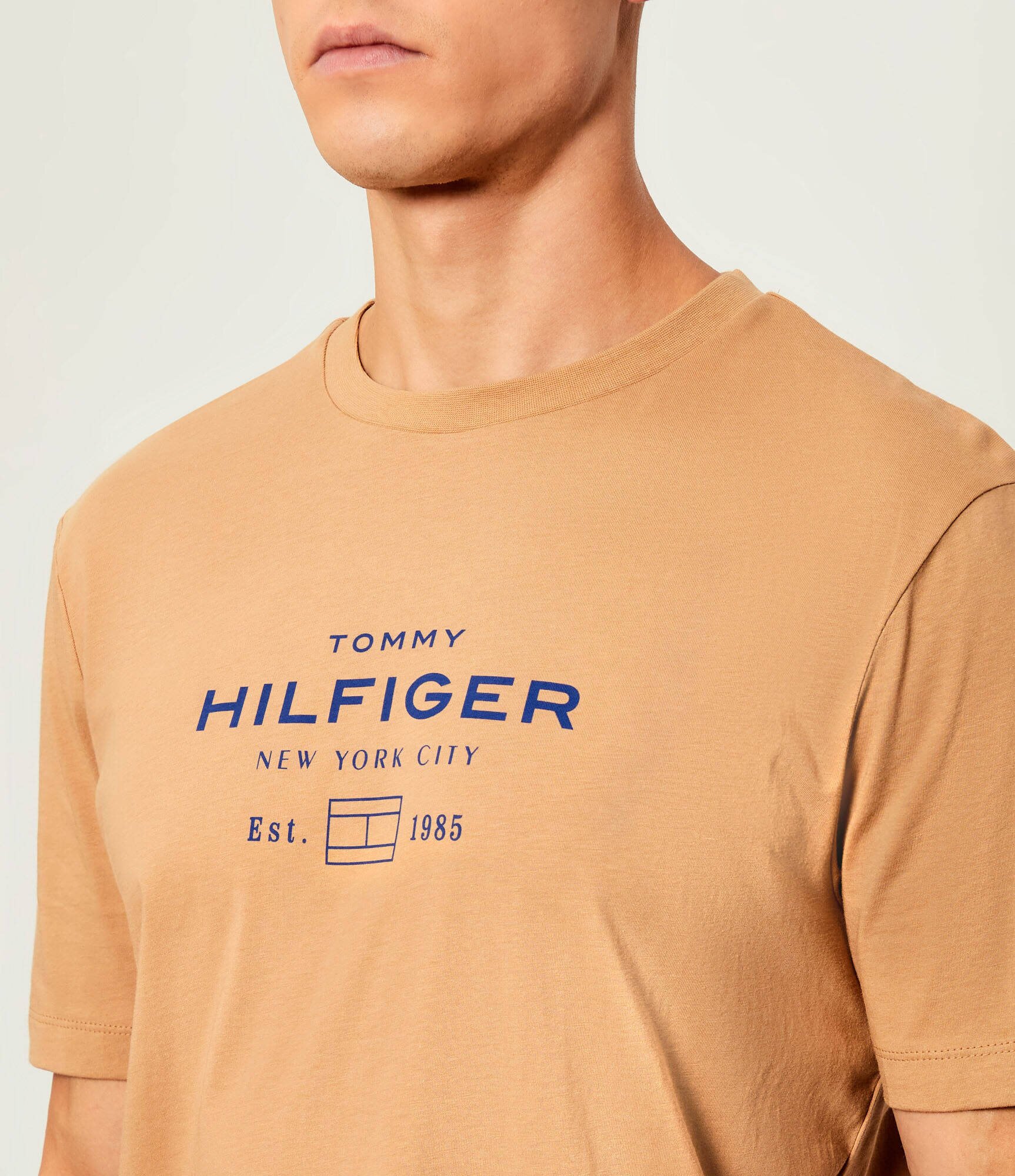 Tommy Hilfiger Tricou | regular fit