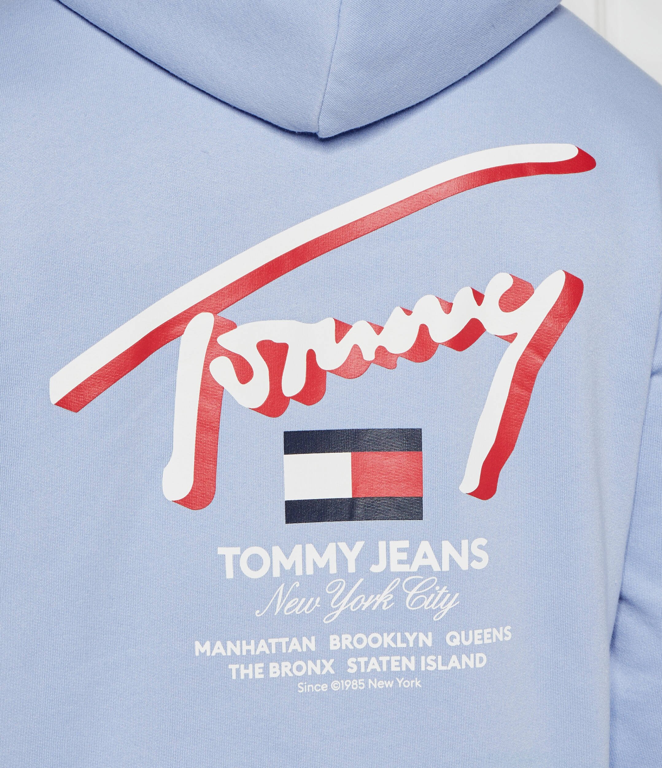 Tommy Jeans Hanorac 3D STREET | Regular Fit