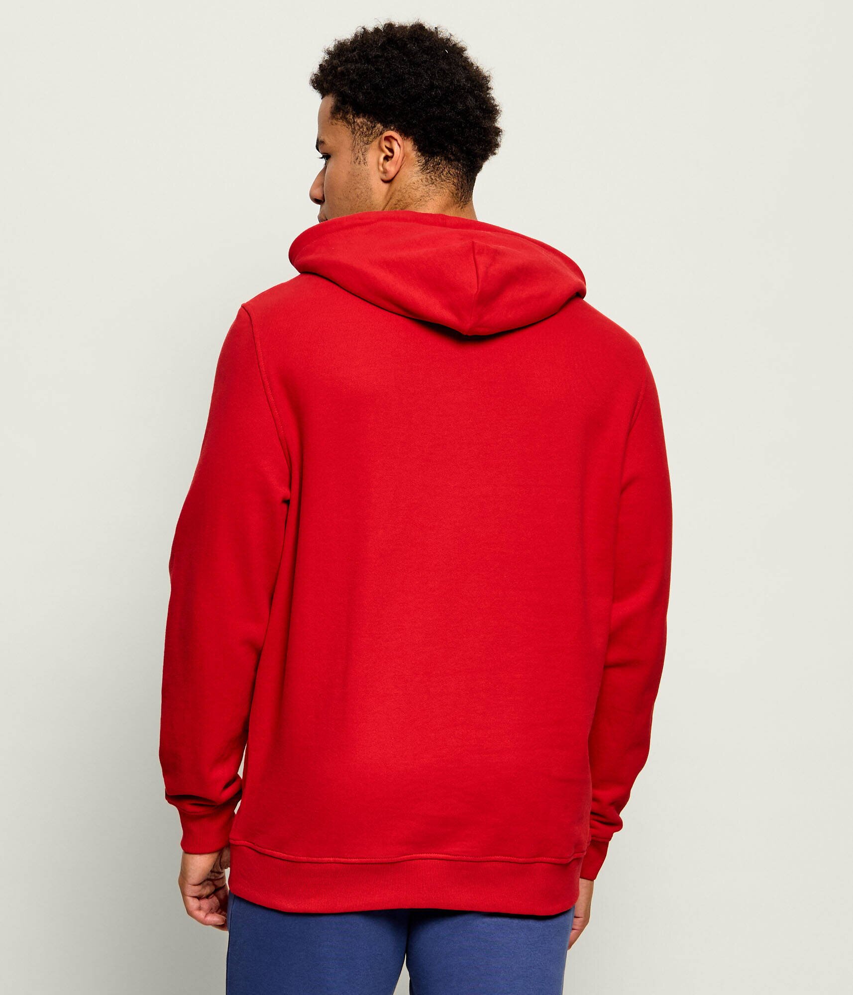 Tommy Jeans Hanorac Entry Signature | regular fit