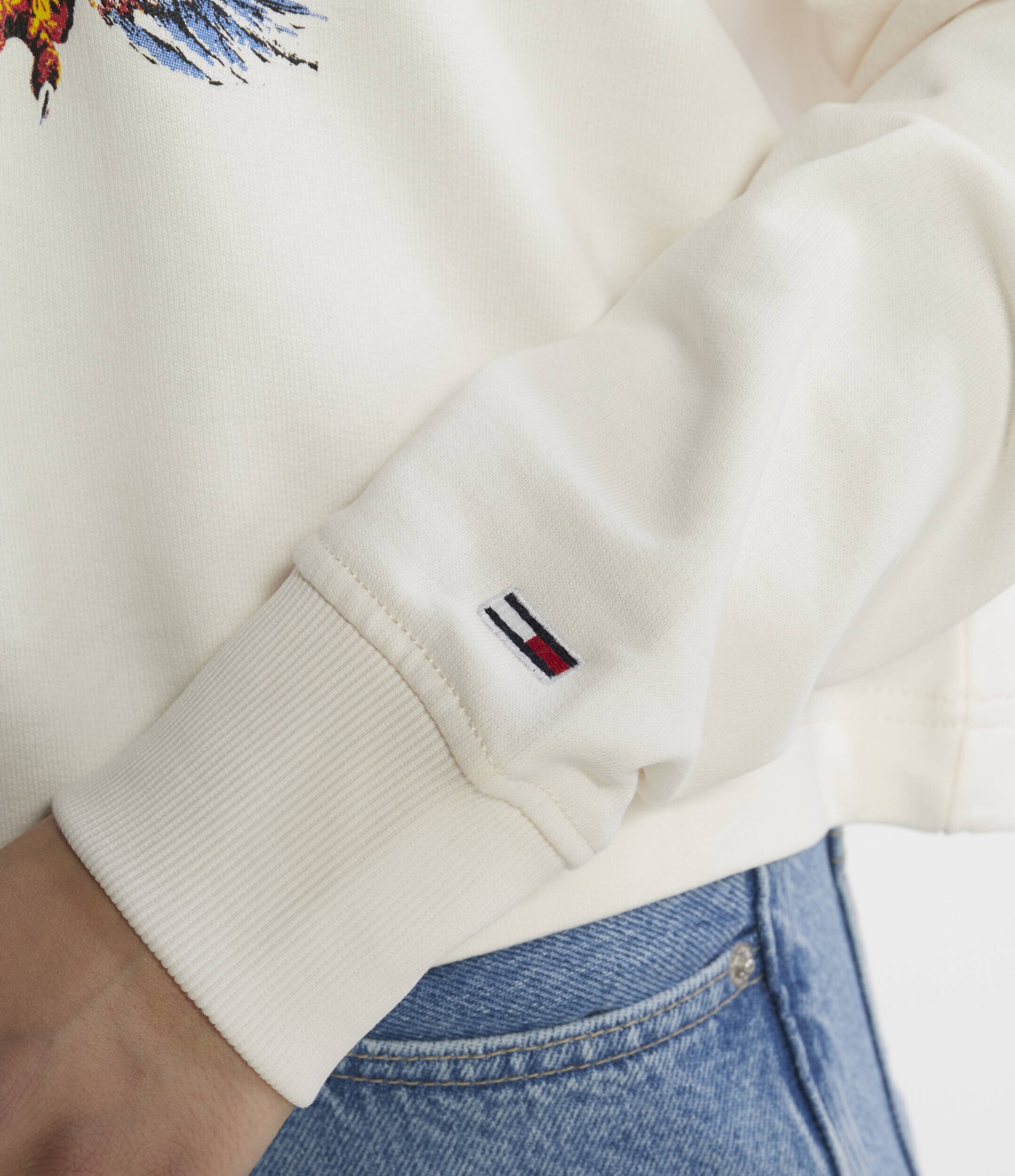 Tommy Jeans Hanorac VINTAGE EAGLE CREW | Relaxed fit