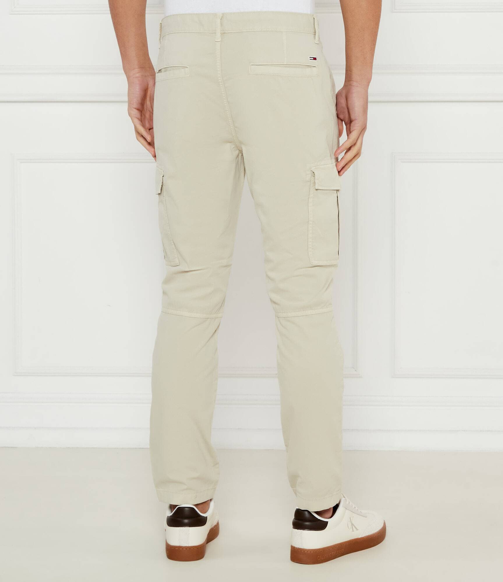 Tommy Jeans Pantaloni cargo AUSTIN | Regular Fit