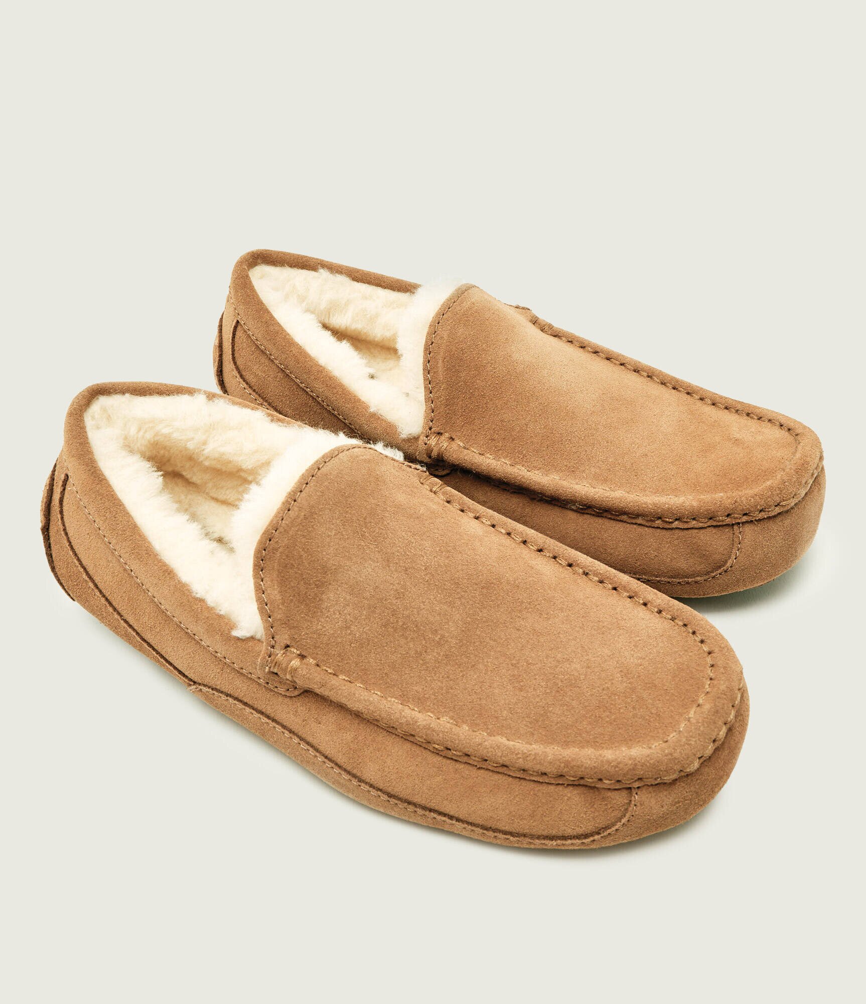 UGG Papuci de casă M ASCOT | shearling