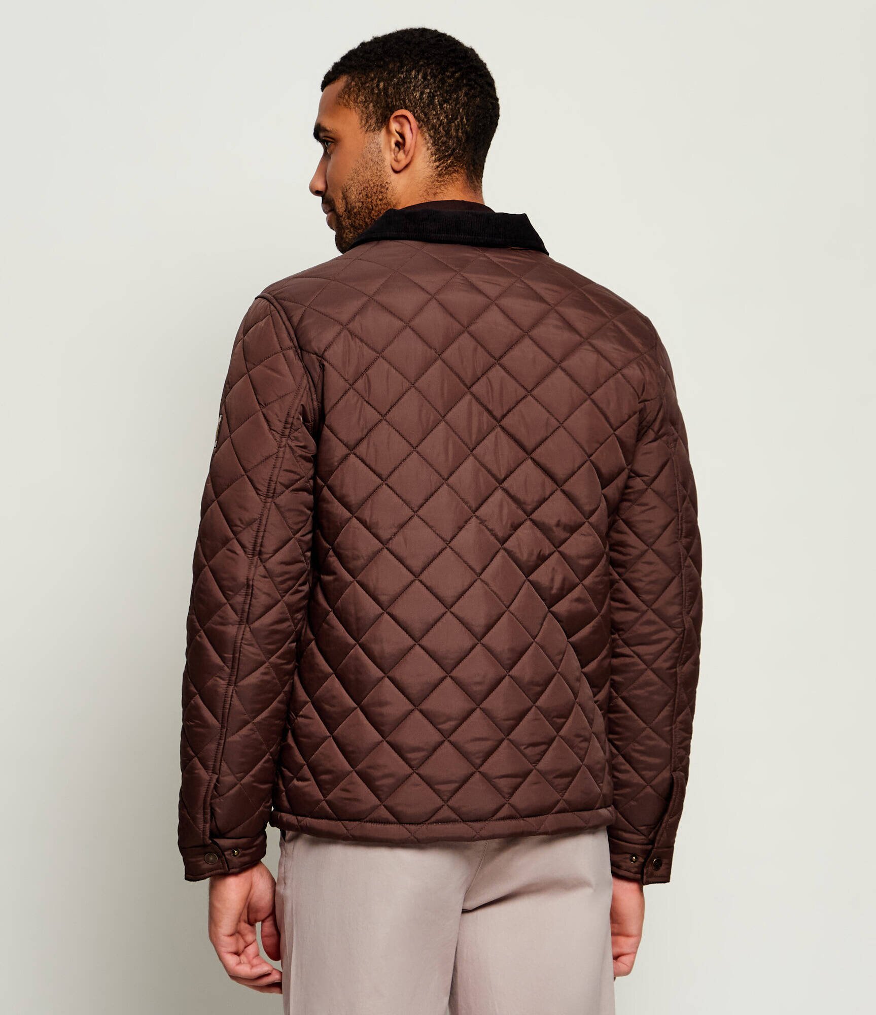 US Polo Assn Geacă Diamond Quilt | regular fit | catifea reiată