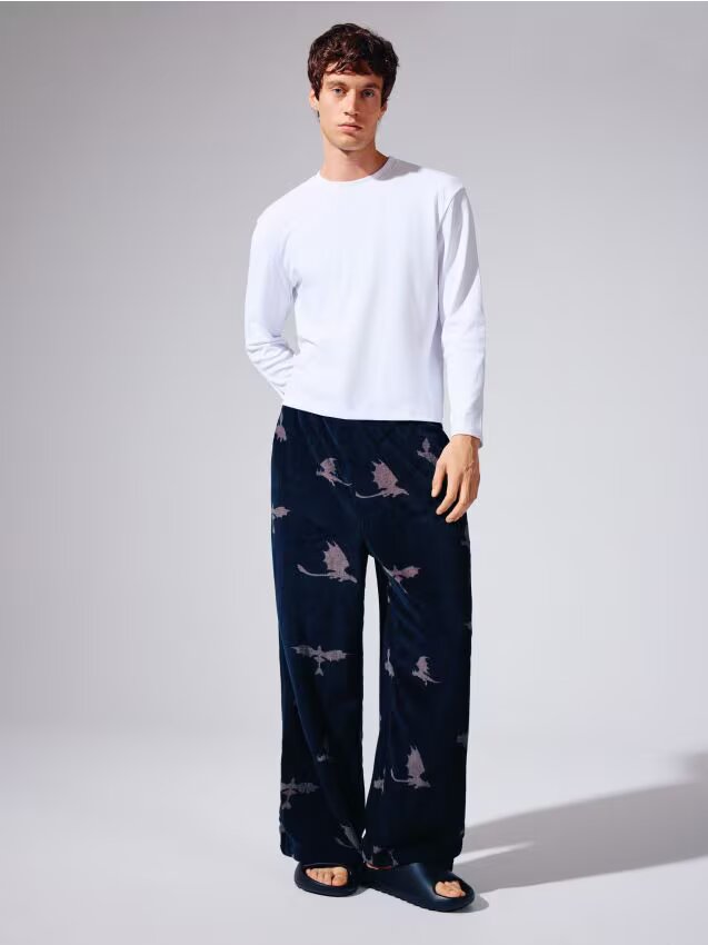 House Pantaloni Largi Dragons
