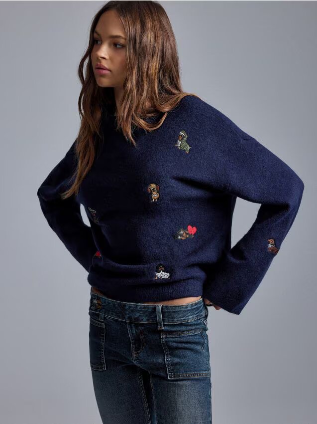 House Pulover loose fit