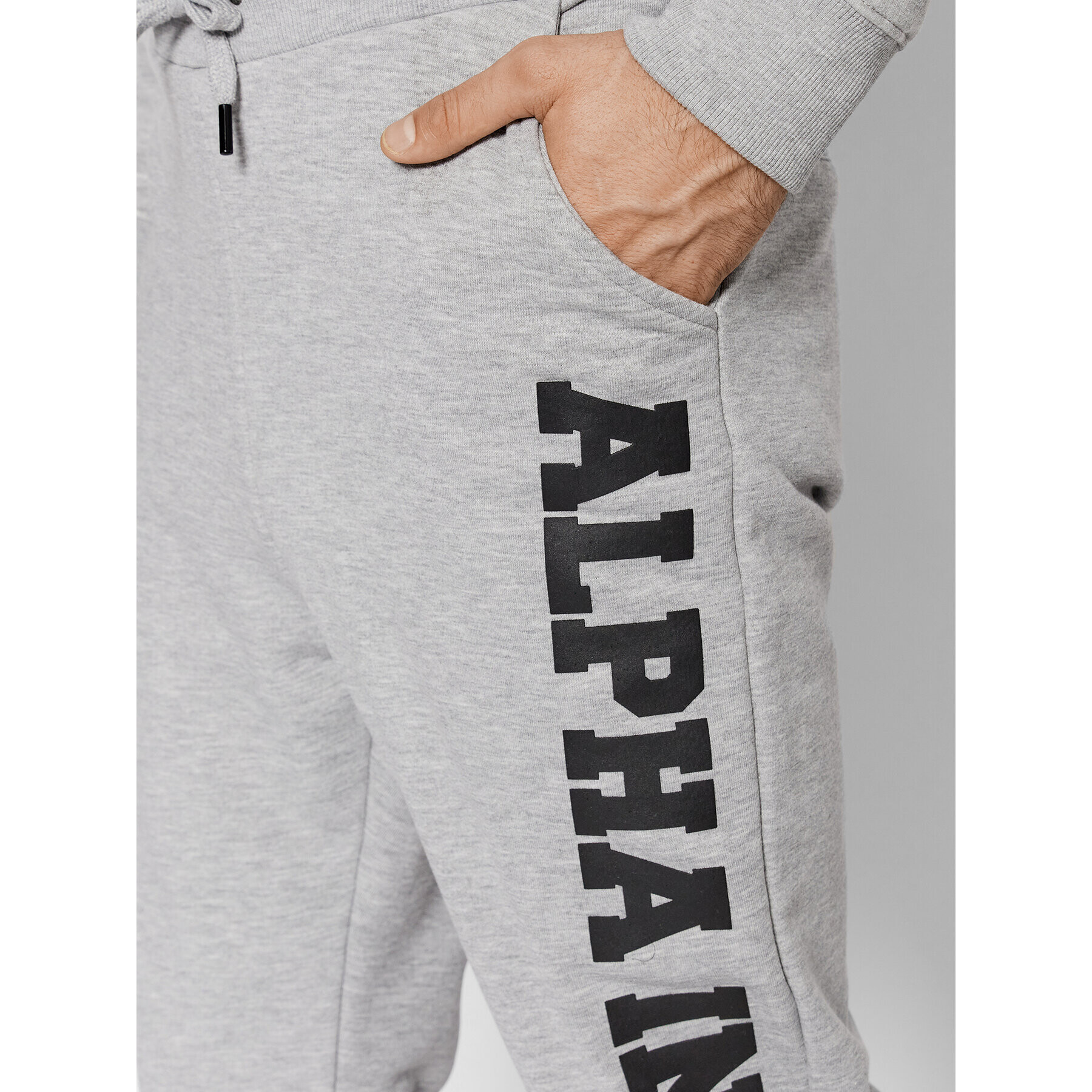 Alpha Industries Pantaloni trening Big Letters 126343 Gri Regular Fit - Pled.ro