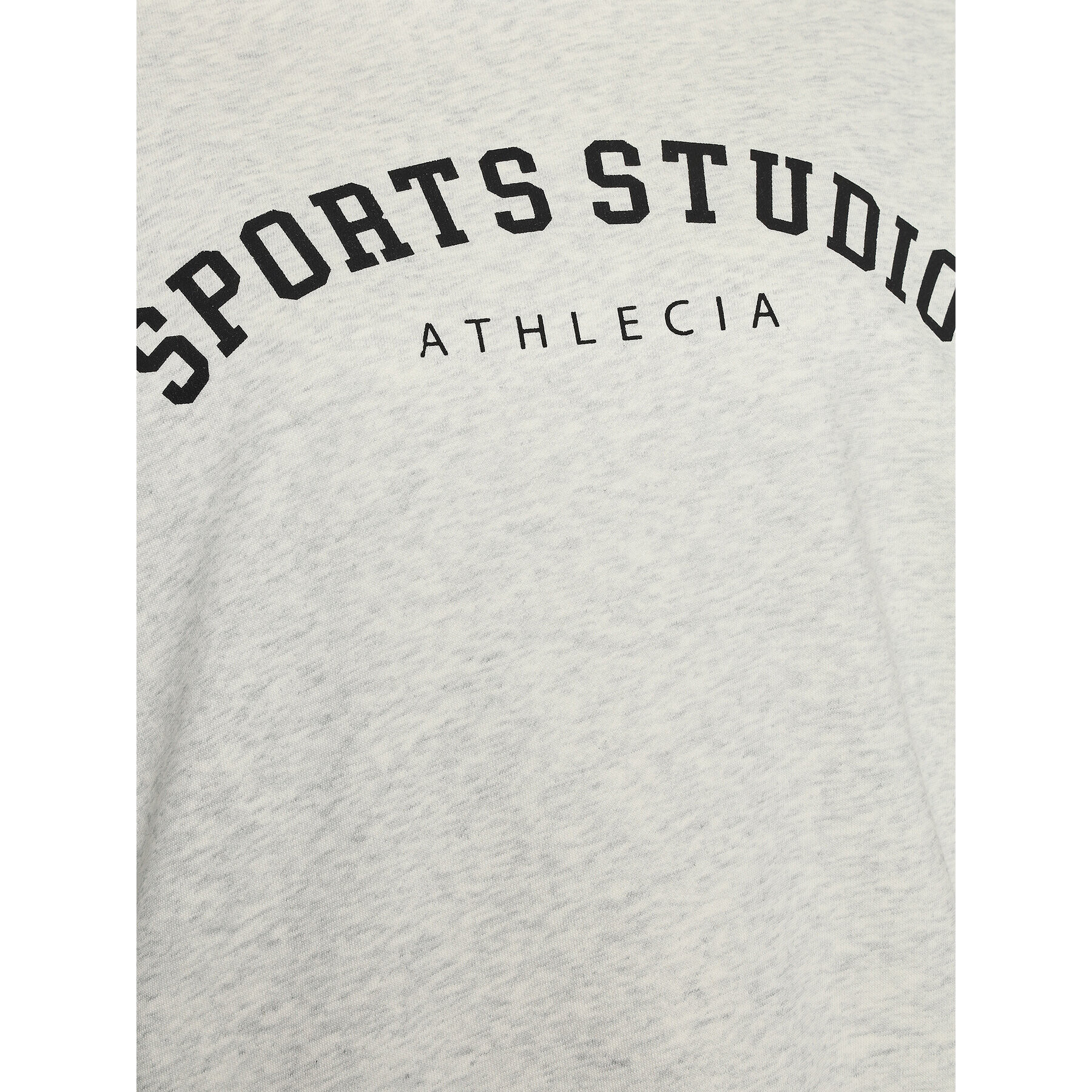 Athlecia Bluză Studio W Hoody EA231368 Gri Regular Fit - Pled.ro