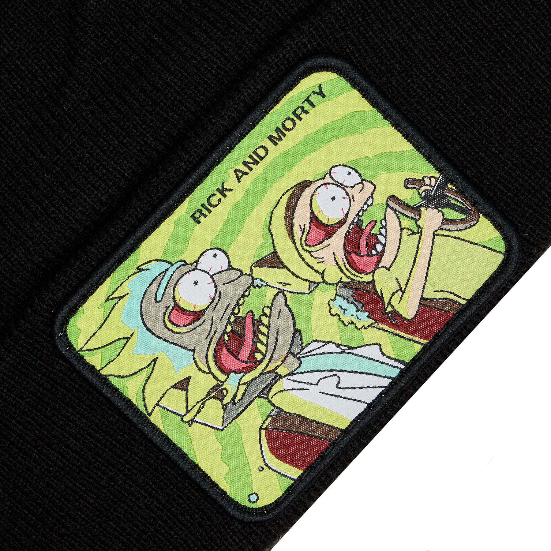 Capslab Căciulă RICK AND MORTY CL/REM/1/BON1/PSY1 Colorat - Pled.ro