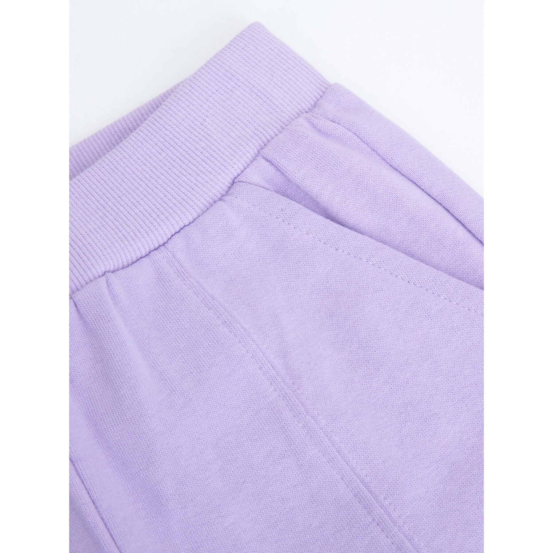 Coccodrillo Pantaloni trening WC3120103EVG Violet Regular Fit - Pled.ro