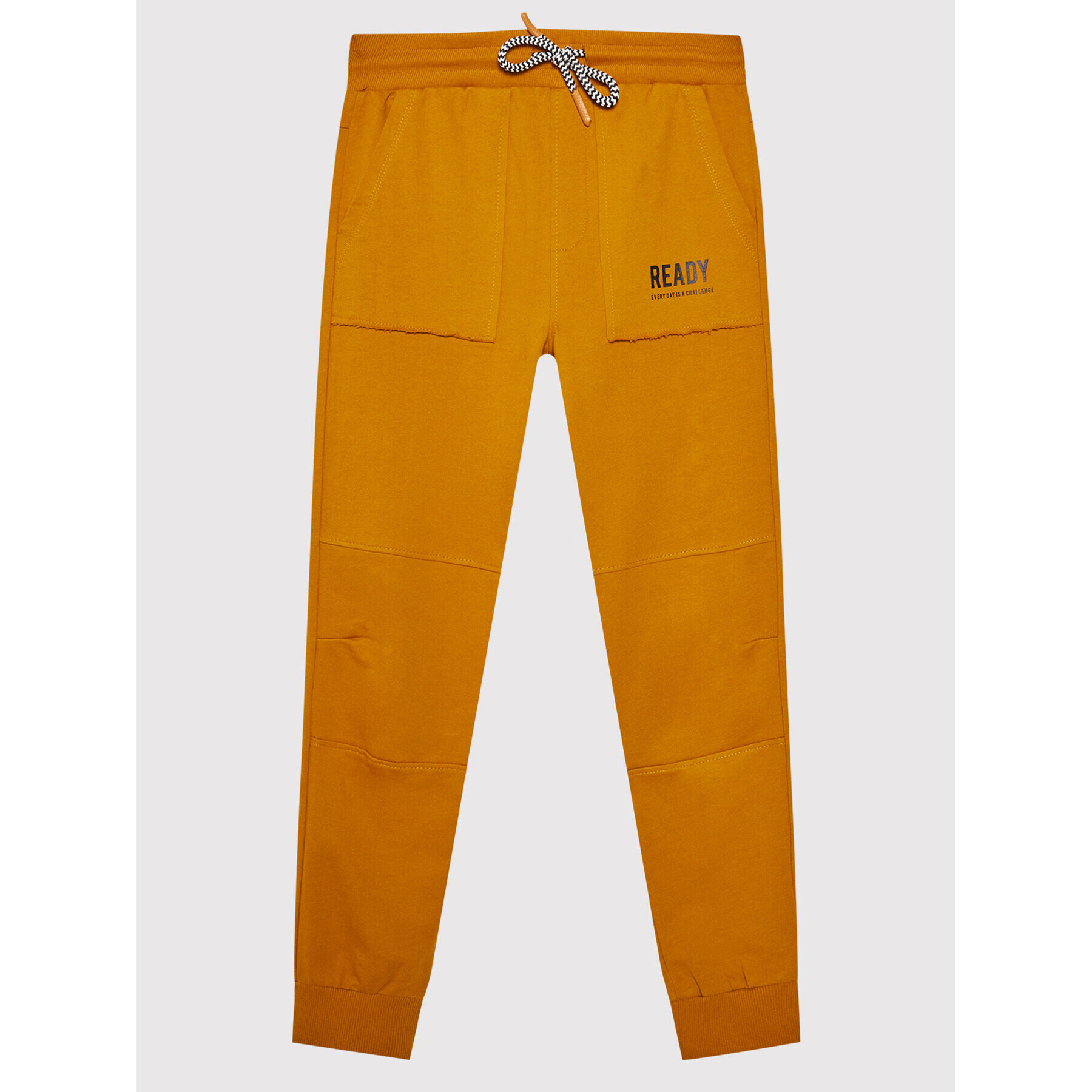 Coccodrillo Pantaloni trening ZC1120111EVB Portocaliu Regular Fit - Pled.ro