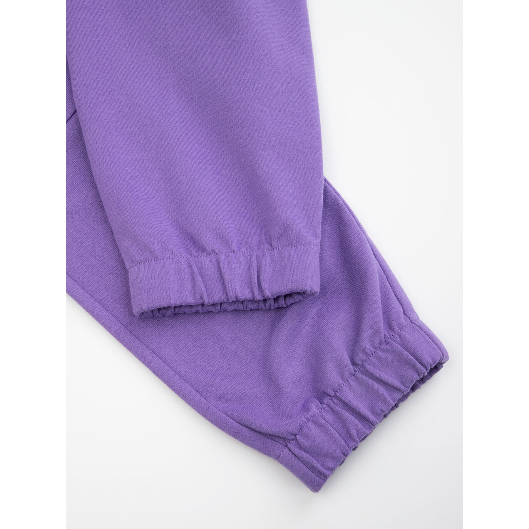 Coccodrillo Pantaloni trening ZC3120102GGJ Violet Regular Fit - Pled.ro