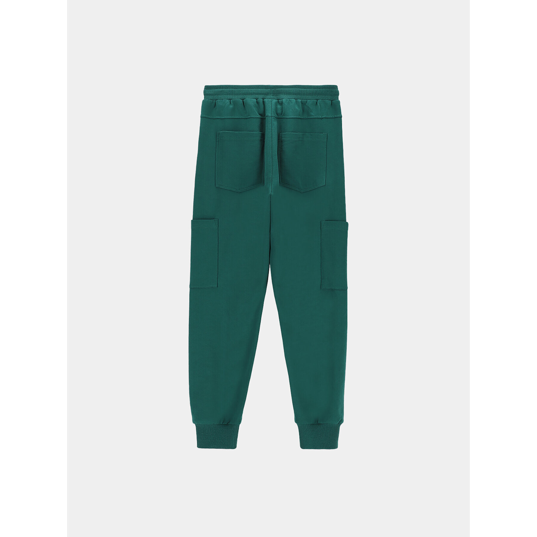 Coccodrillo Pantaloni trening ZC3120104ASJ Verde Regular Fit - Pled.ro