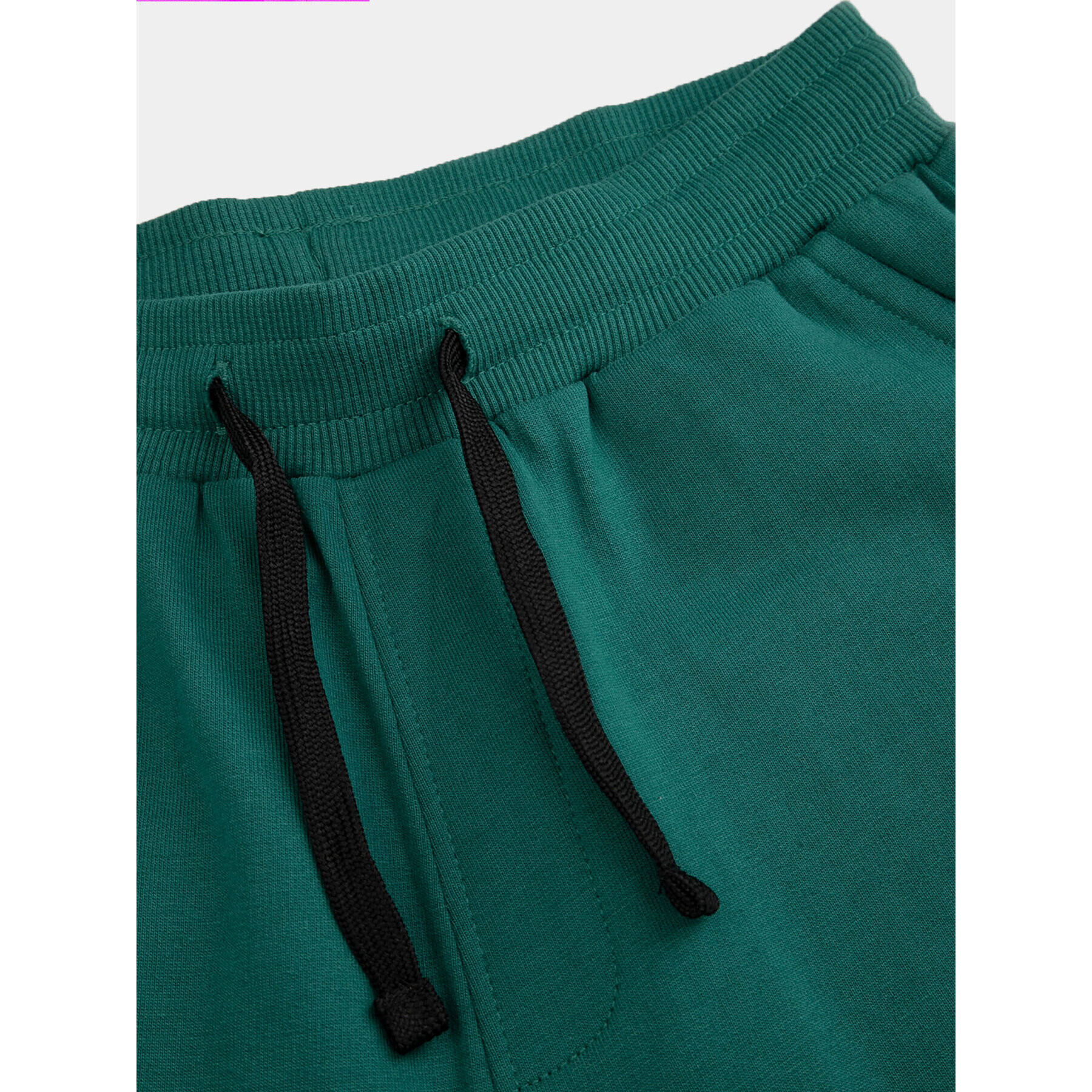 Coccodrillo Pantaloni trening ZC3120104ASJ Verde Regular Fit - Pled.ro