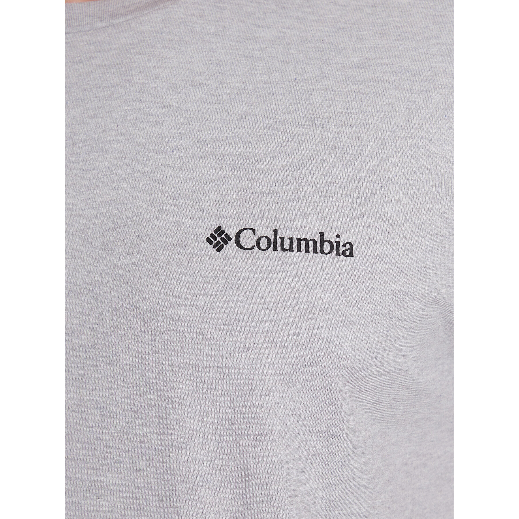 Columbia Tricou Rapid Ridge™ Back Graphic Tee II Gri Regular Fit - Pled.ro