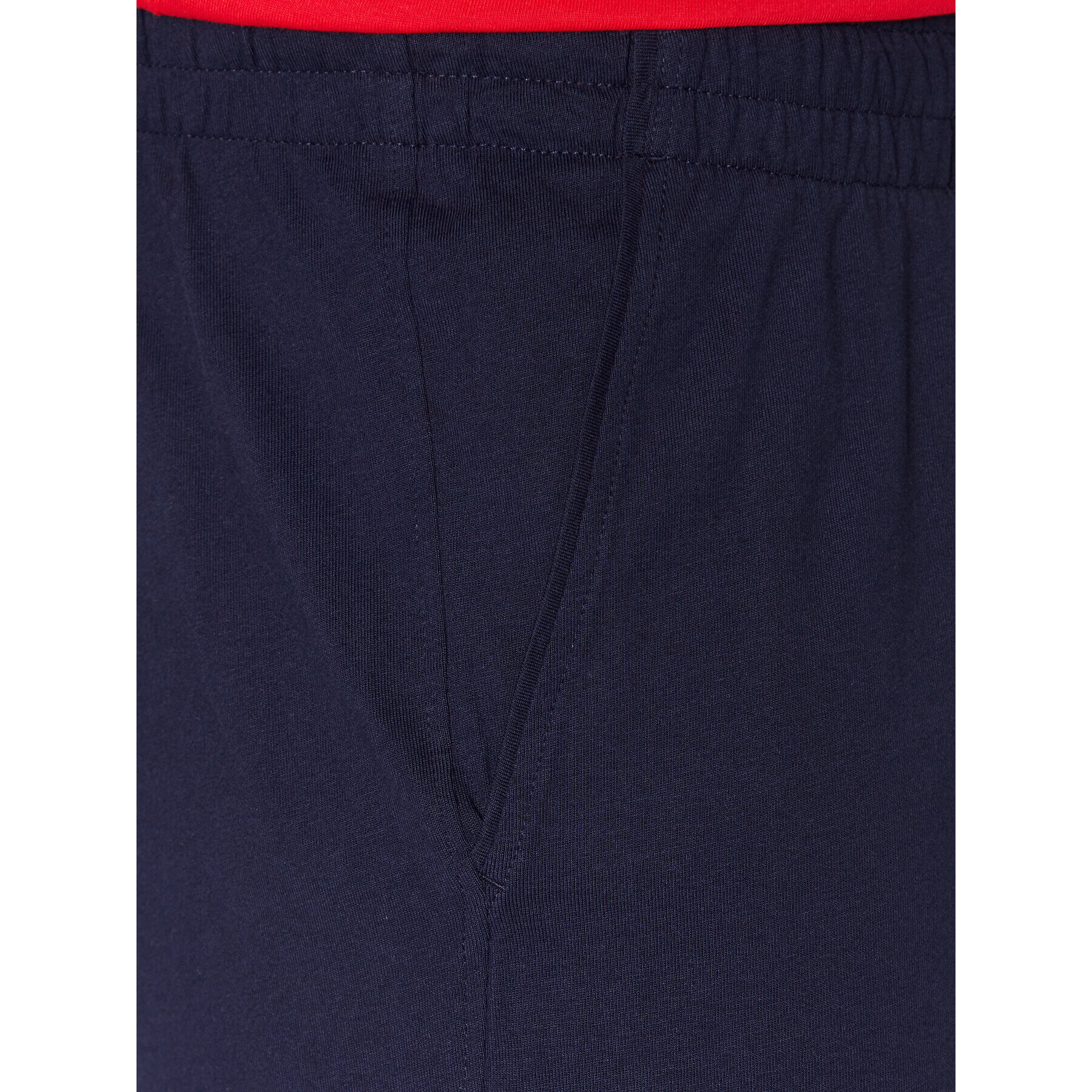 Diadora Pantaloni scurți sport Core 102.179760 Bleumarin Regular Fit - Pled.ro