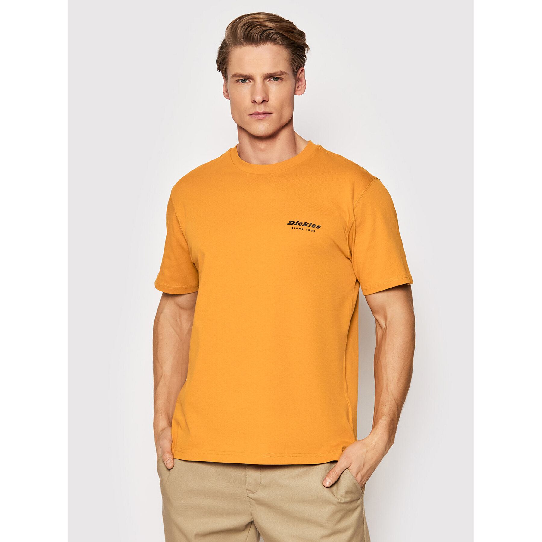 Dickies Tricou Artondale DK0A4XNYC38 Portocaliu Relaxed Fit - Pled.ro