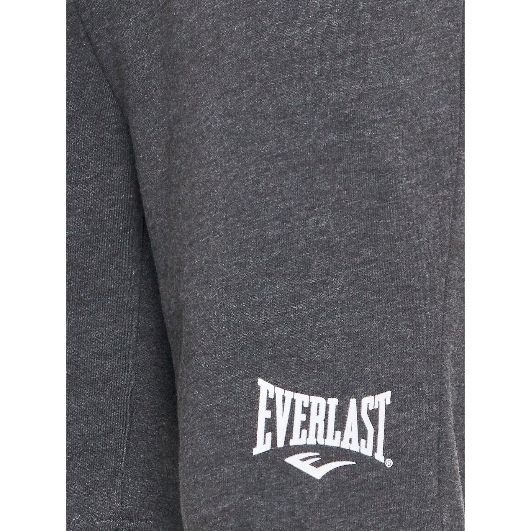 Everlast Pantaloni scurți sport 810522-60 Gri Regular Fit - Pled.ro