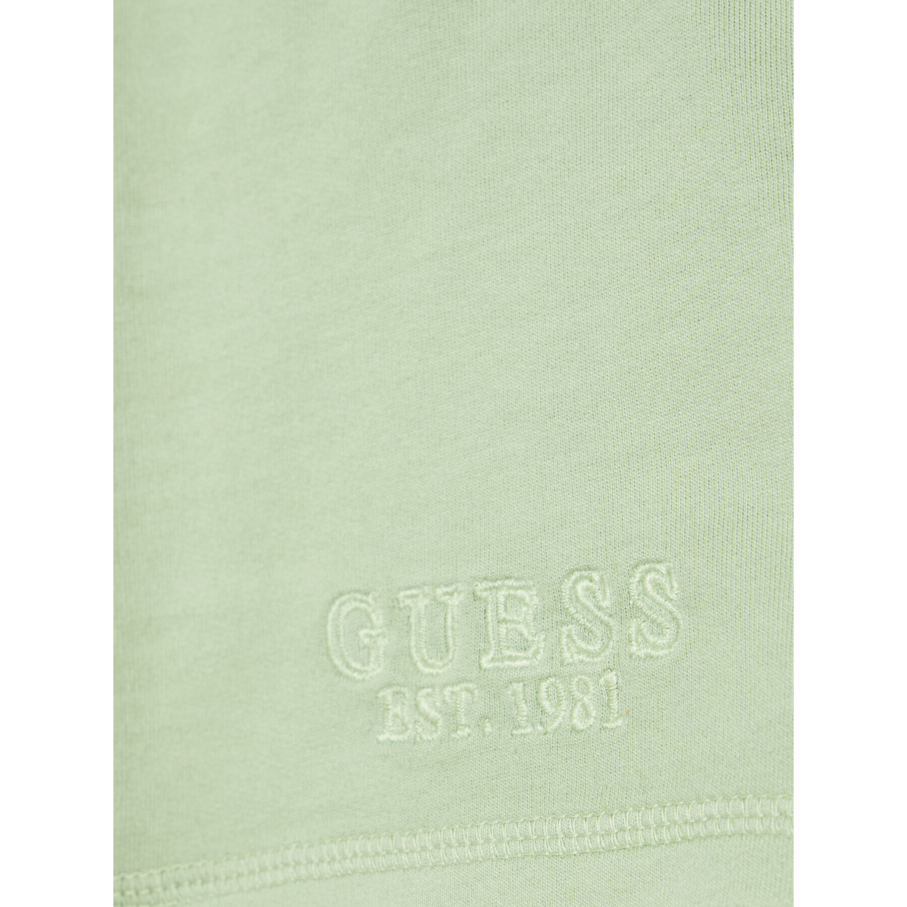 Guess Pantaloni scurți sport N2GD15 KB4O0 Verde Regular Fit - Pled.ro