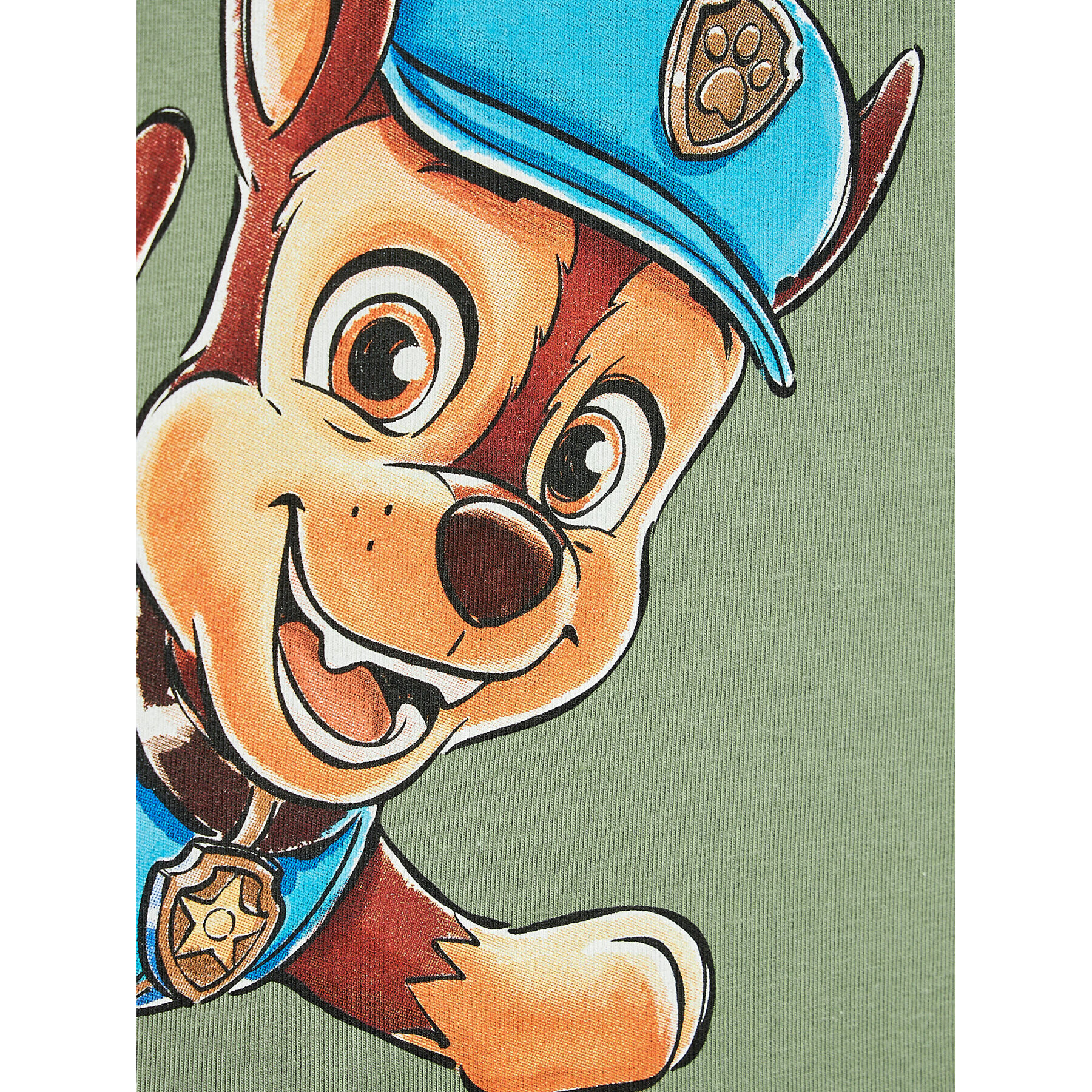 NAME IT Bluză PAW PATROL 13201003 Verde Regular Fit - Pled.ro