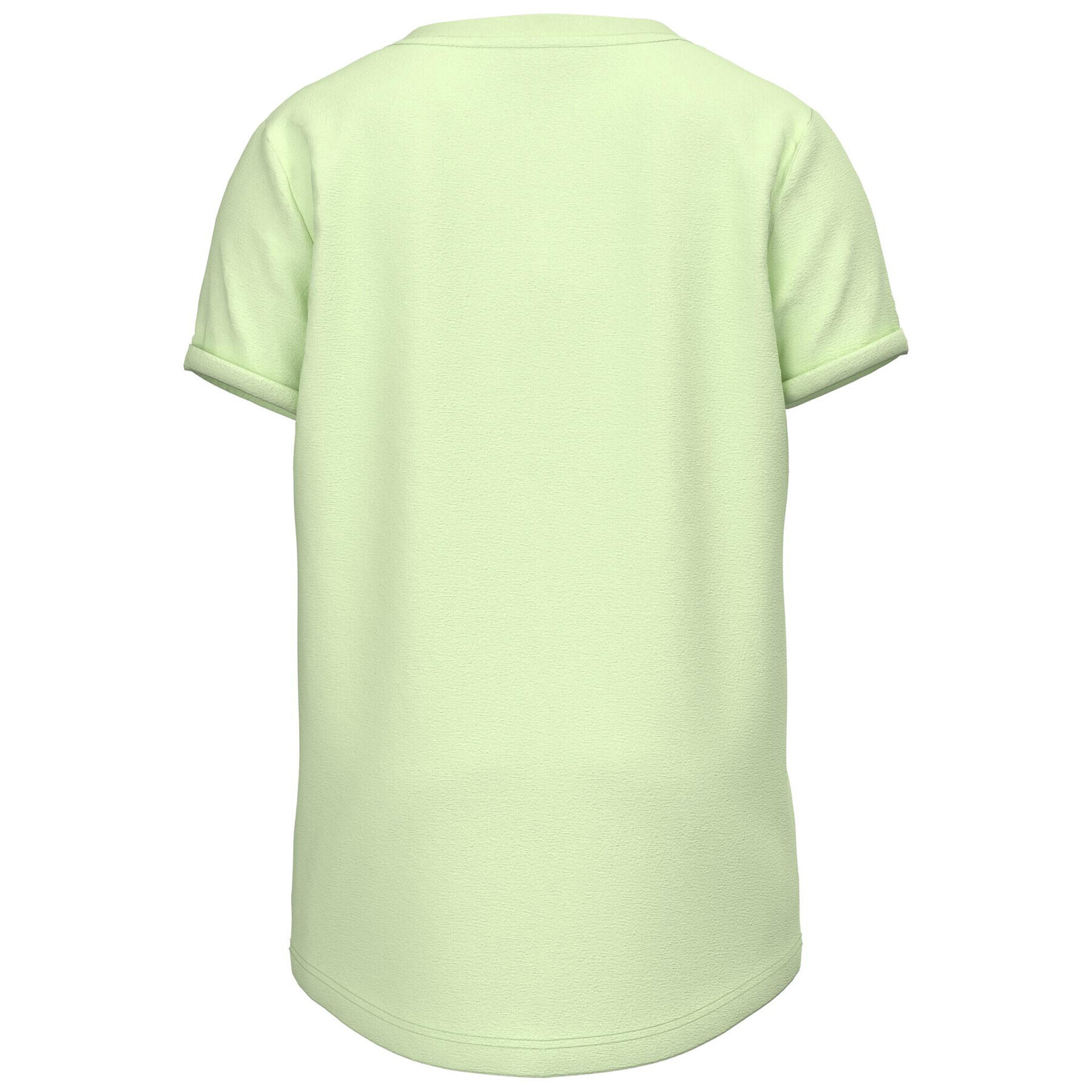 NAME IT Tricou 13215021 Verde Regular Fit - Pled.ro