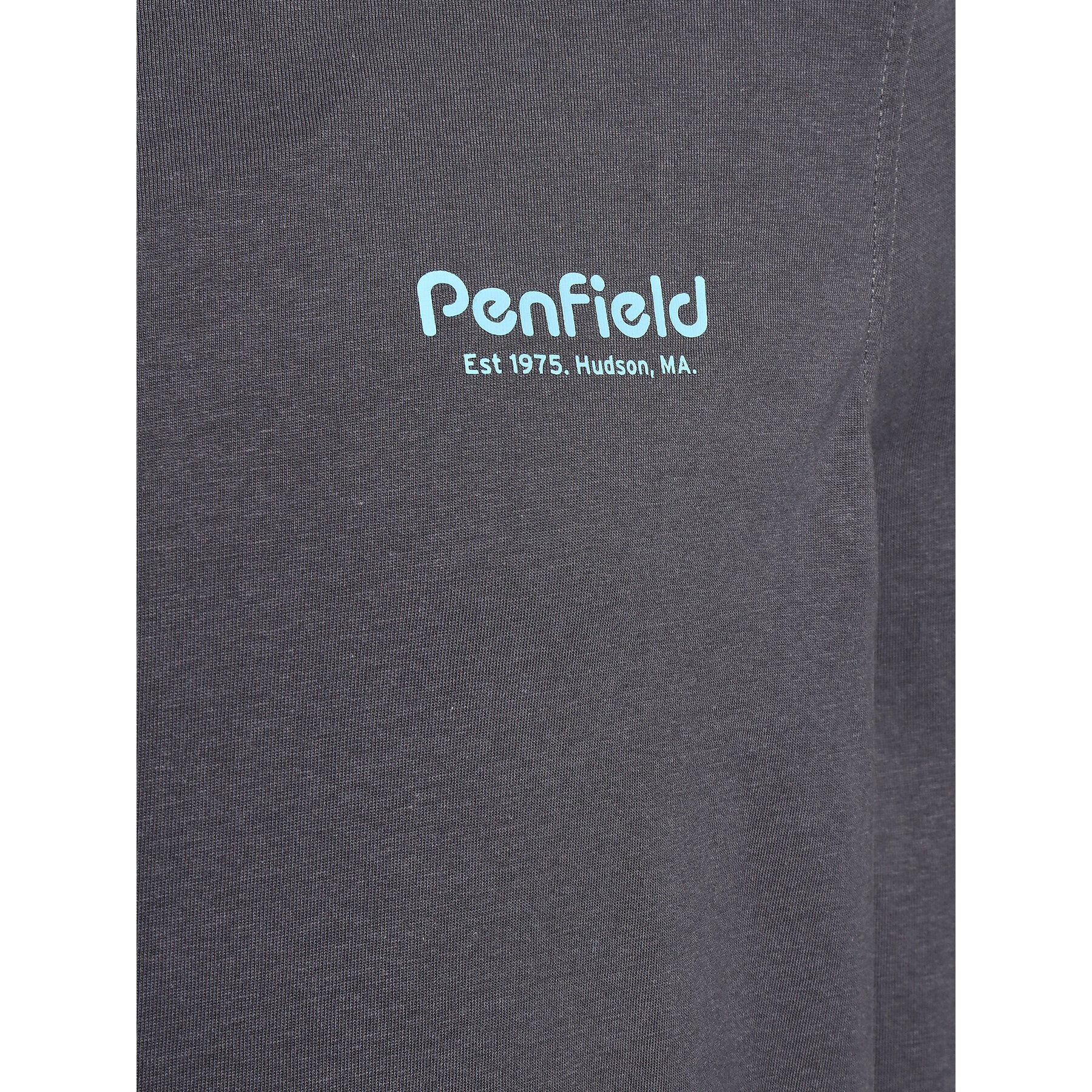 Penfield Longsleeve PFD0282 Gri Regular Fit - Pled.ro