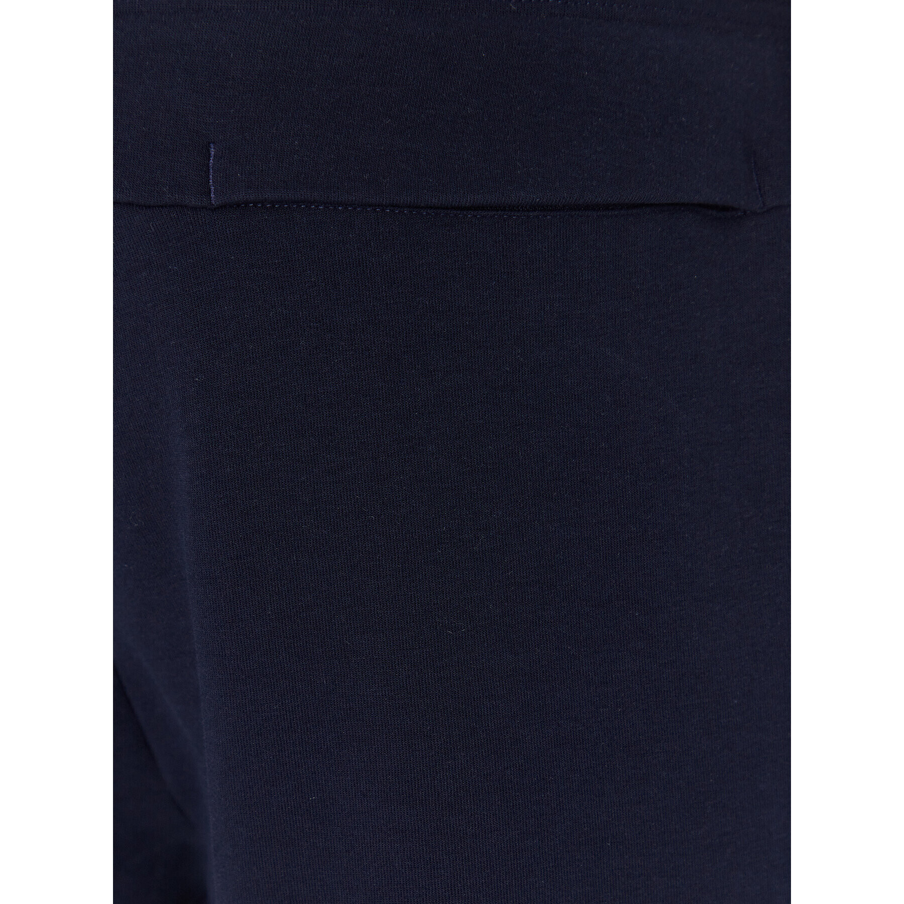 Polo Ralph Lauren Pantaloni trening 710881522007 Bleumarin Regular Fit - Pled.ro