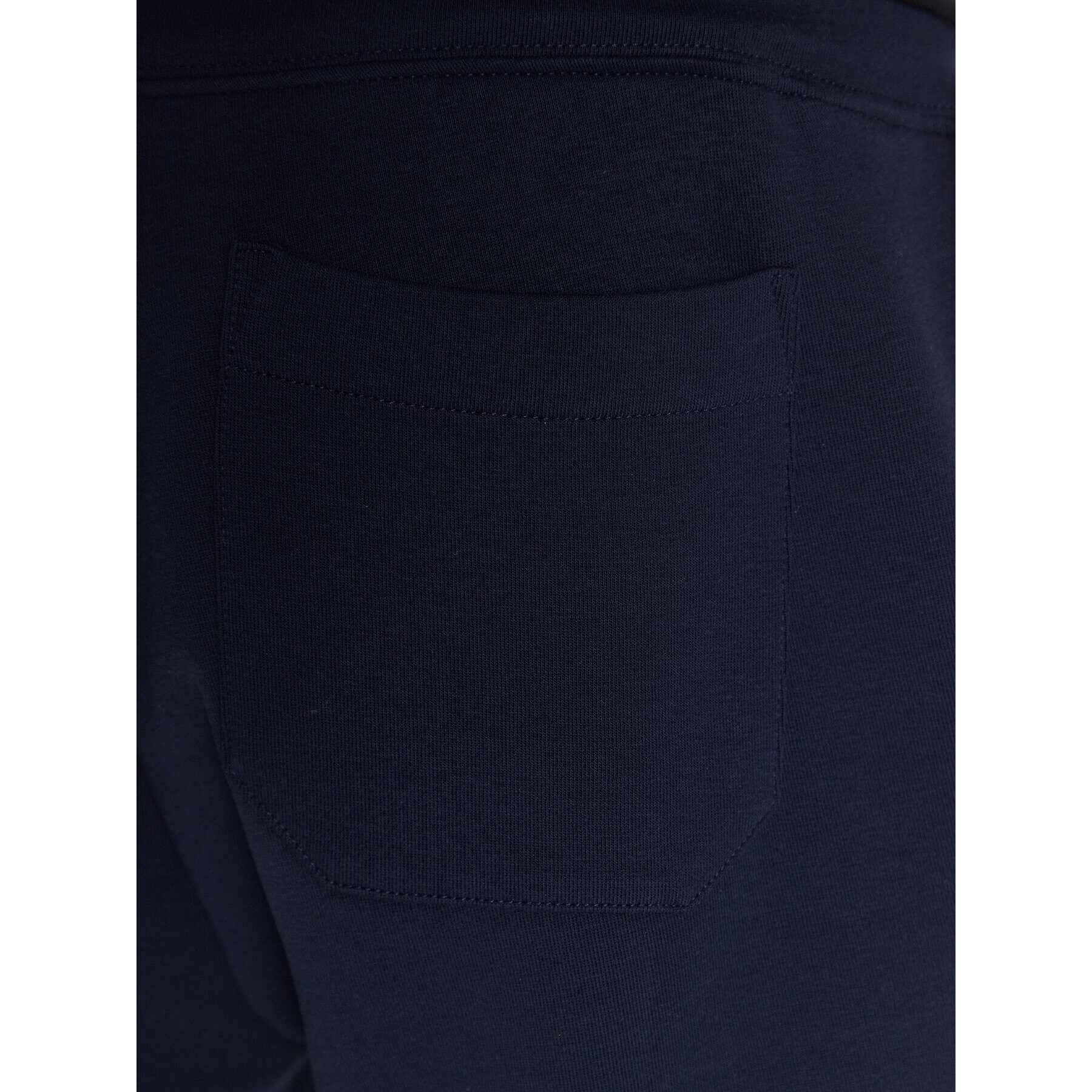 Polo Ralph Lauren Pantaloni trening 710890705001 Bleumarin Regular Fit - Pled.ro